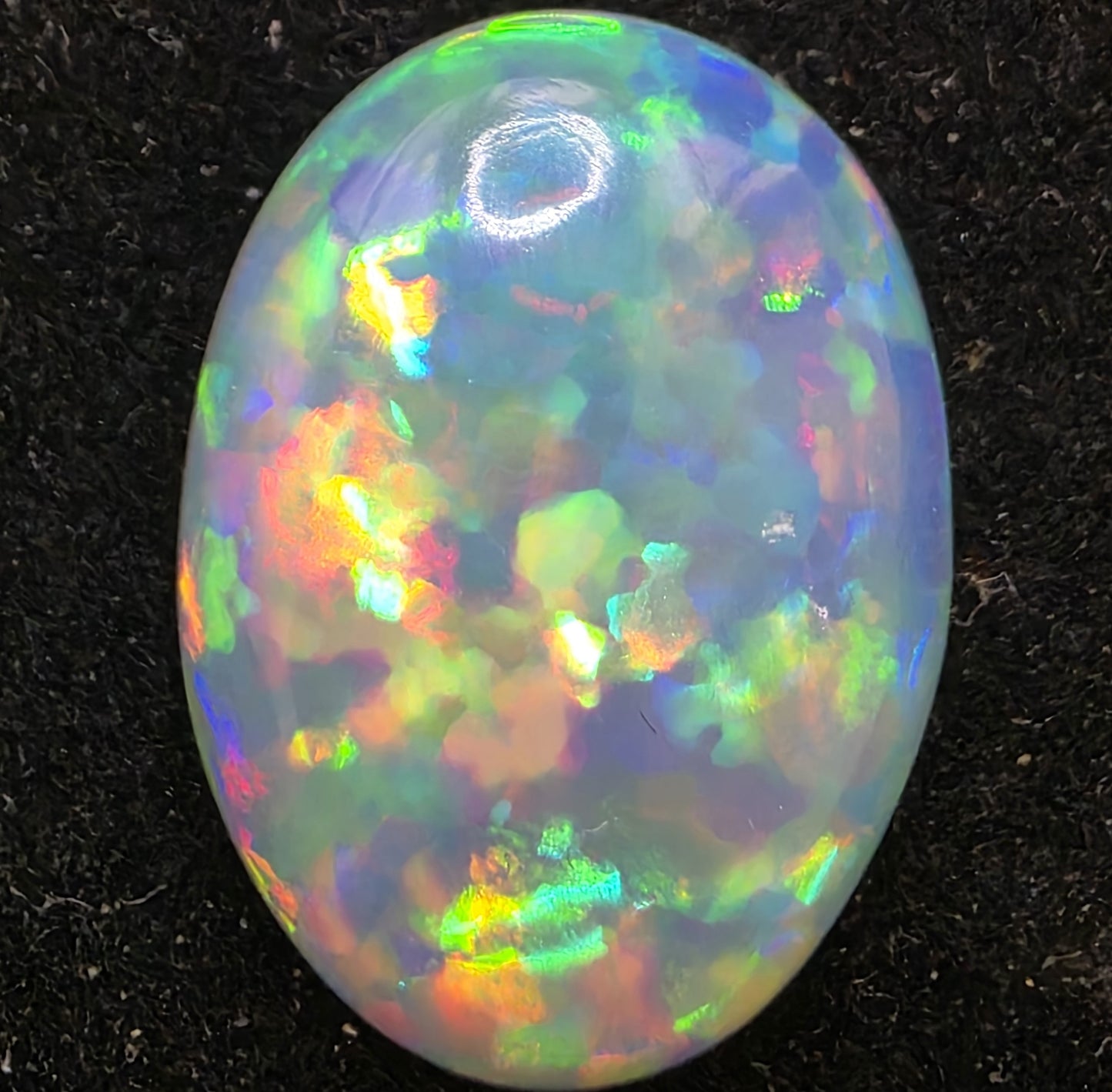 White Opal special Ethiopian Welo, 7.05 ct oval polished, natural, intense Play-of-Colour