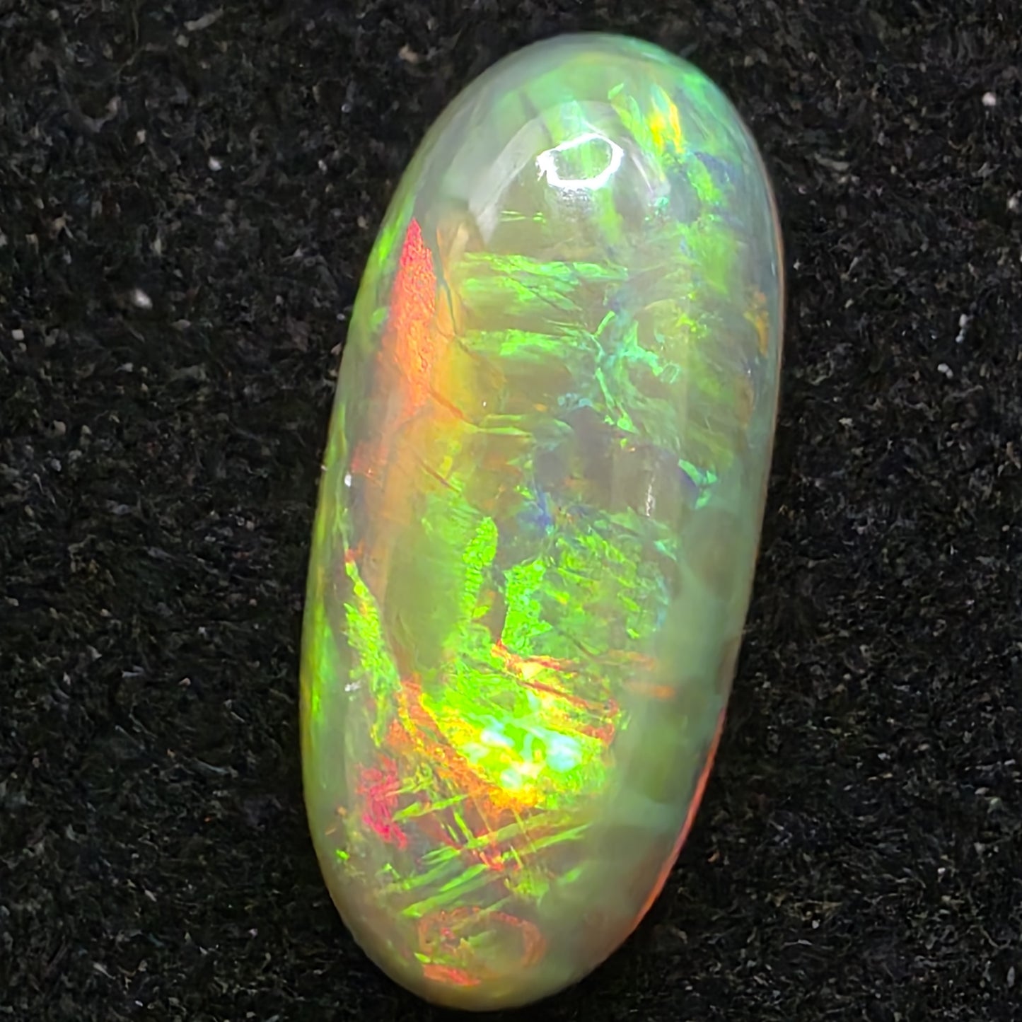 Black Opal special Ethiopian Welo, 4.45 ct oval polished, natural, intense Play-of-Colour