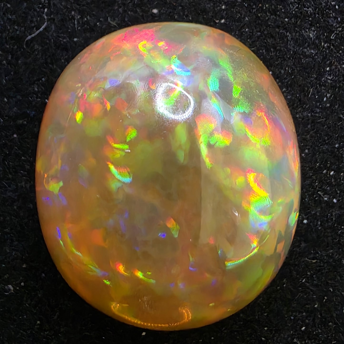 Honey Opal special Ethiopian Welo, 12.55 ct oval polished, natural, intense Play-of-Colour