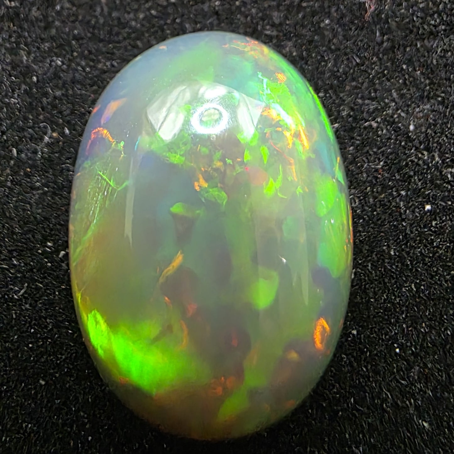 Black Opal special Ethiopian Welo, 10 ct oval polished, natural, intense Play-of-Colour