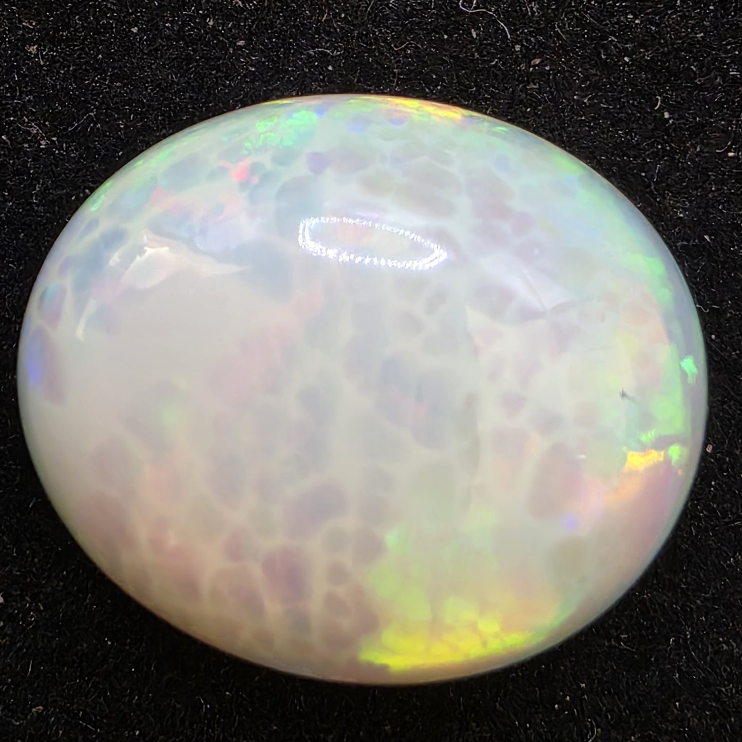Honeycomb White Opal special Ethiopian Welo, 10.3 ct oval polished, natural, intense Play-of-Colour