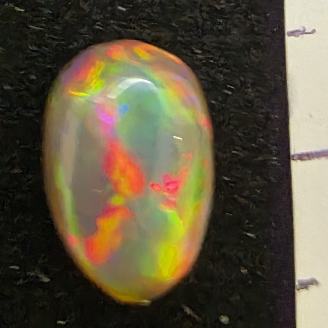 Black Opal special Ethiopian Welo, 1.45 ct oval polished, natural
