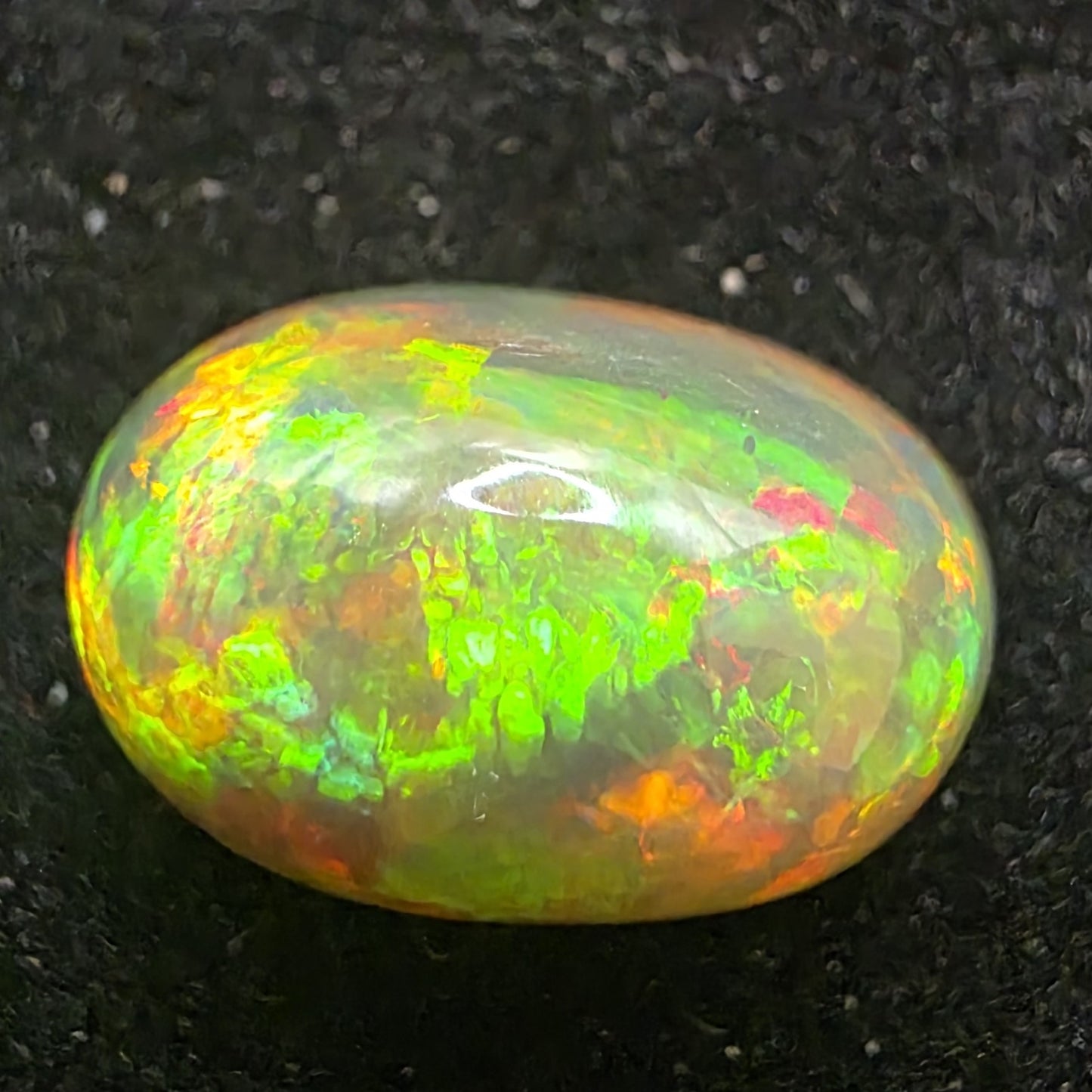 Black Opal special Ethiopian Welo, 6.45 ct oval polished, natural, intense Play-of-Colour