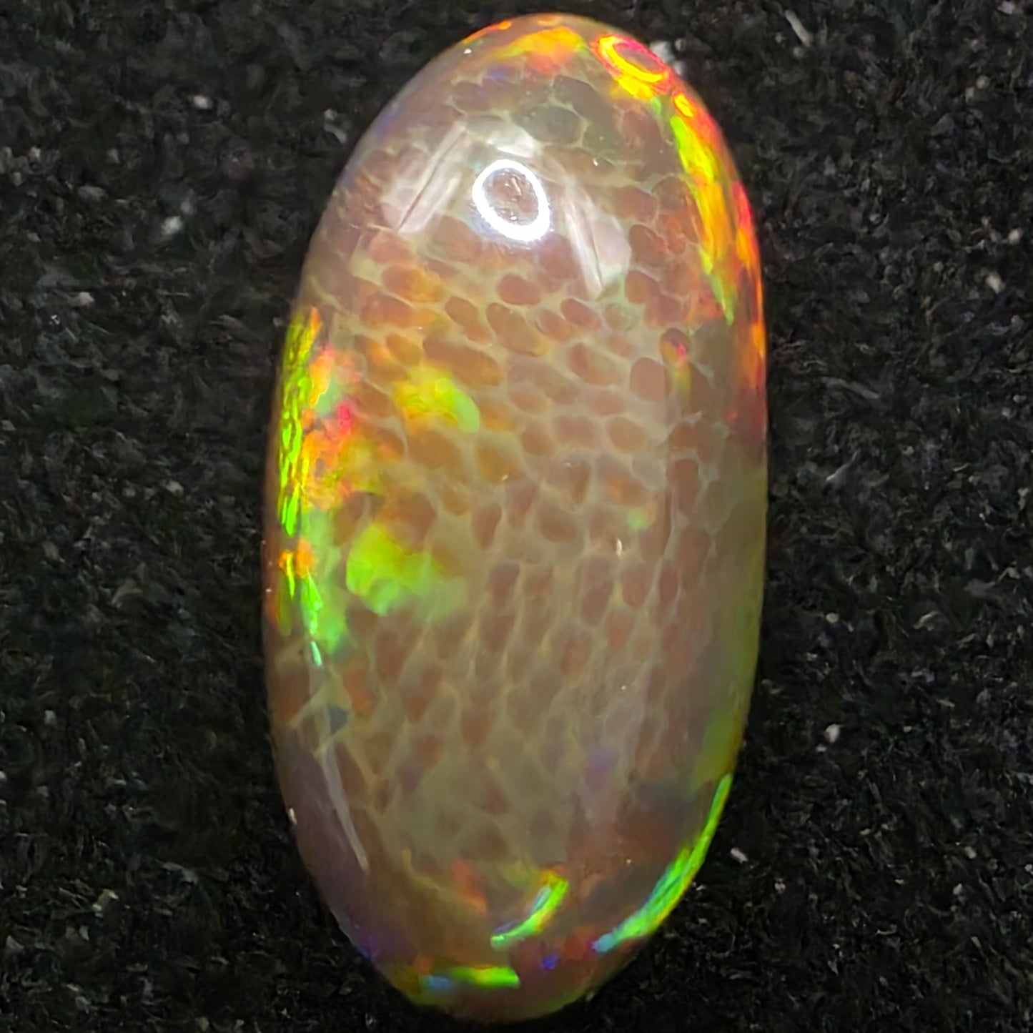Honeycomb Black Opal special Ethiopian Welo, 5.8 ct oval polished, natural, intense Play-of-Colour