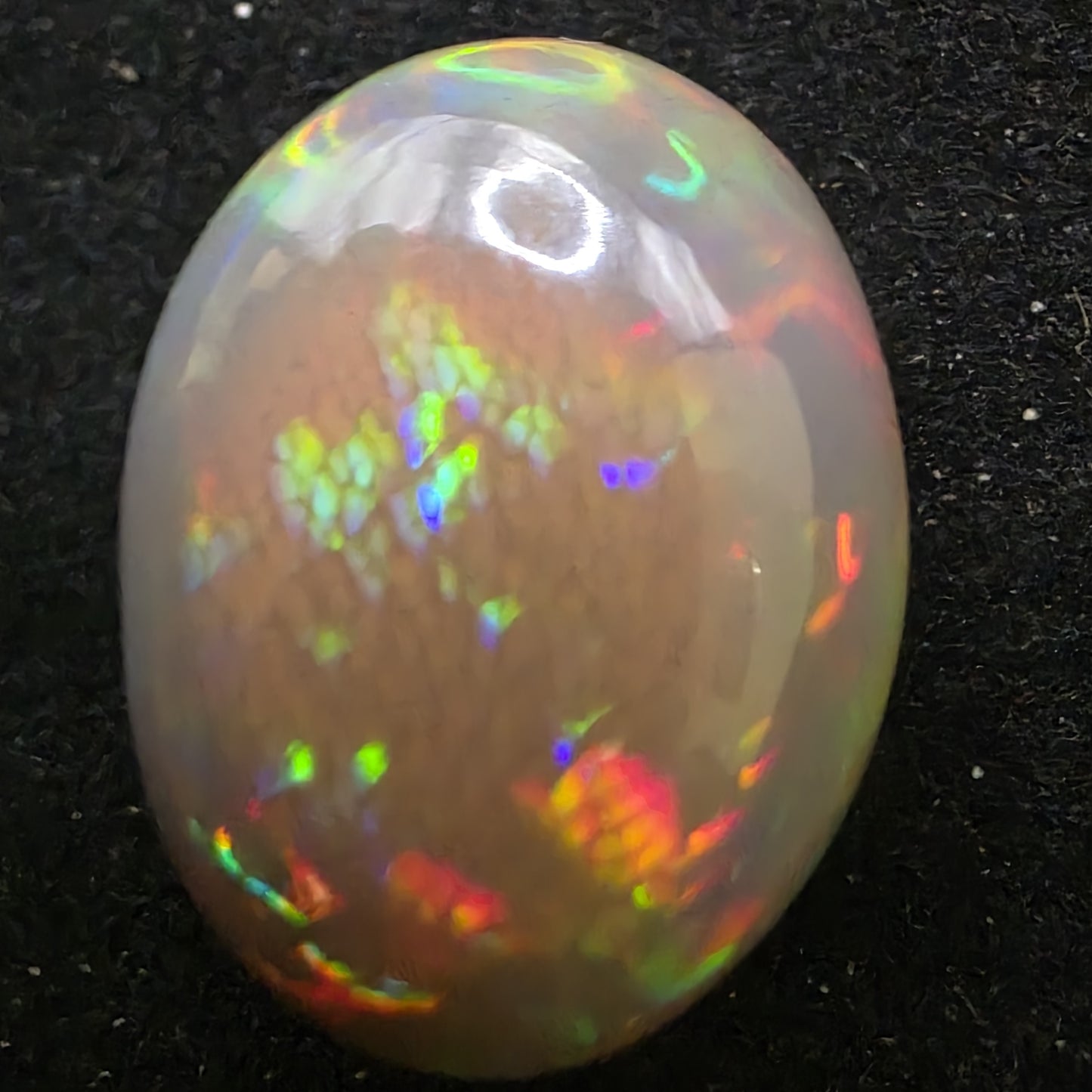 Honeycomb Black Opal special Ethiopian Welo, 21.6 ct oval polished, natural