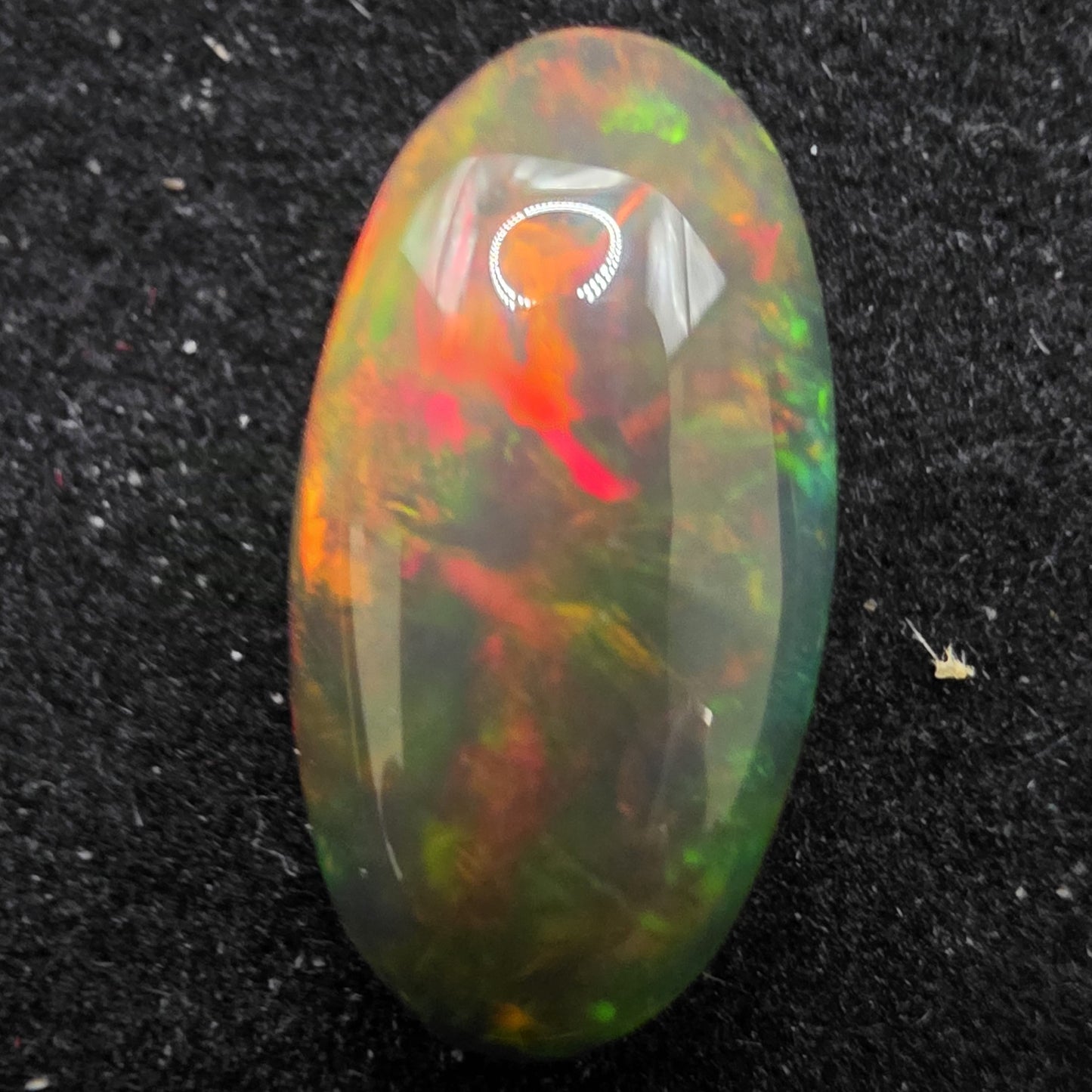 Black Opal special Ethiopian Welo, 4.3 ct oval polished, natural, intense Play-of-Colour