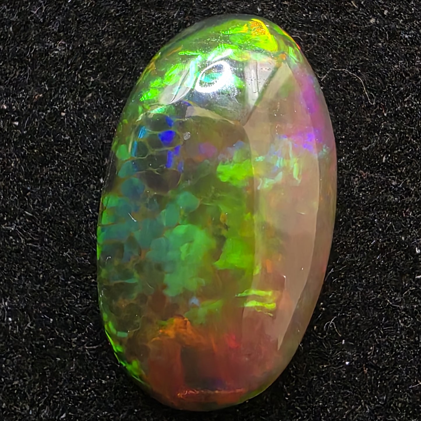 Black Opal special Ethiopian Welo, 3.3 ct oval polished, natural, intense Play-of-Colour
