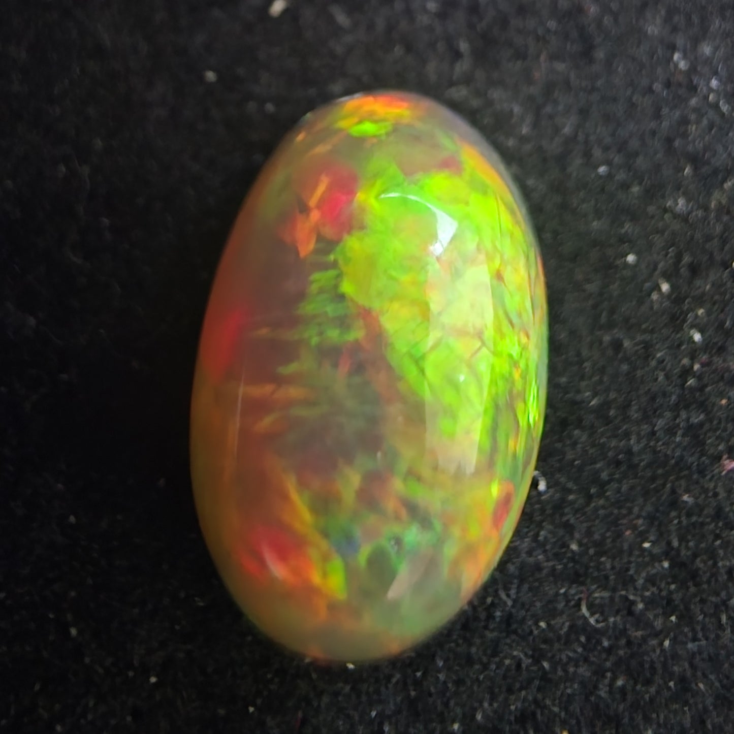 Black Opal special Ethiopian Welo, 6.45 ct oval polished, natural, intense Play-of-Colour