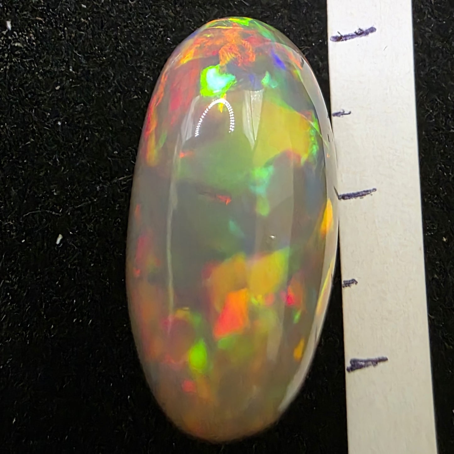 Black Opal special Ethiopian Welo, 16.8 ct oval polished, natural, intense Play-of-Colour