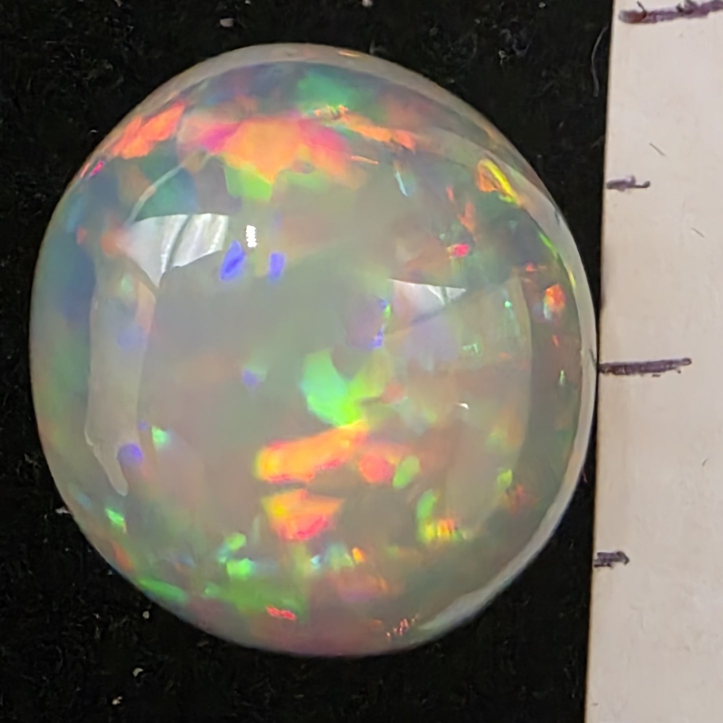 White Opal special Ethiopian Welo, 11.2 ct round polished, natural, intense Play-of-Colour