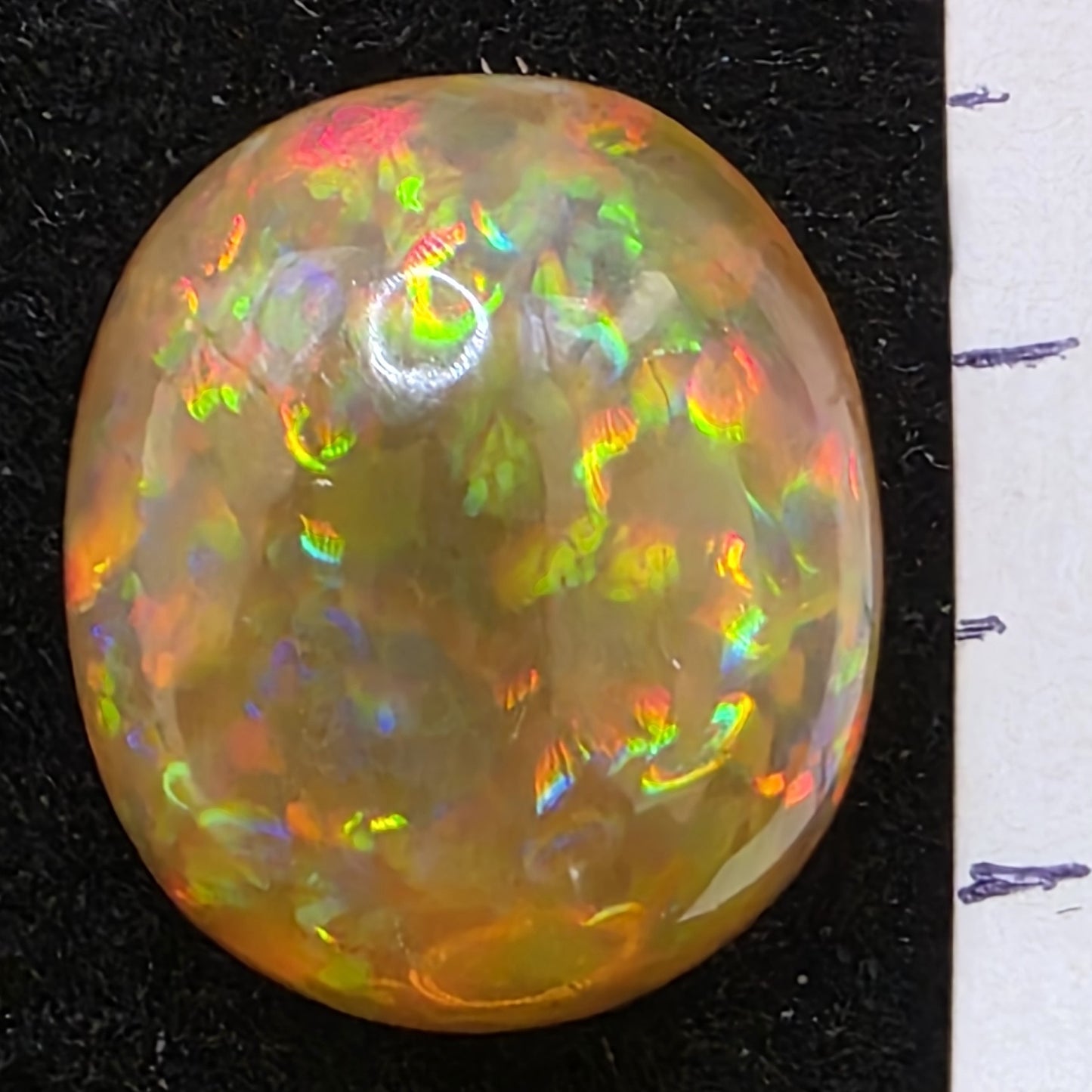 Honey Opal special Ethiopian Welo, 12.55 ct oval polished, natural, intense Play-of-Colour