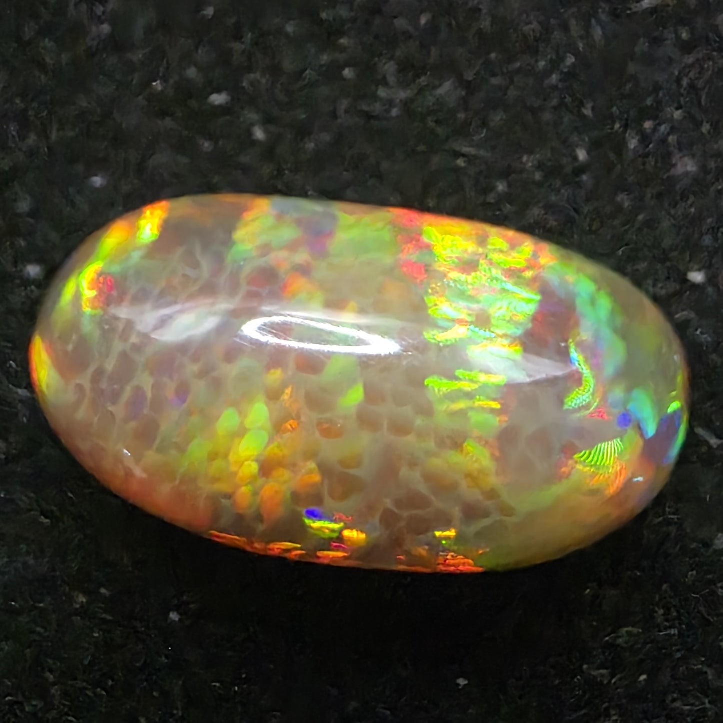 Honeycomb Black Opal special Ethiopian Welo, 5.8 ct oval polished, natural, intense Play-of-Colour