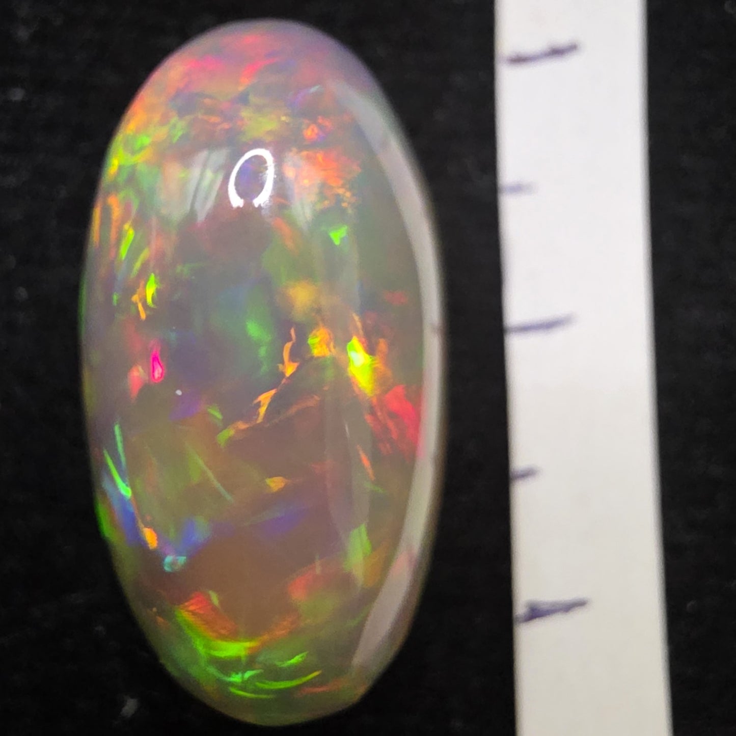 Black Opal special Ethiopian Welo, 16.8 ct oval polished, natural, intense Play-of-Colour