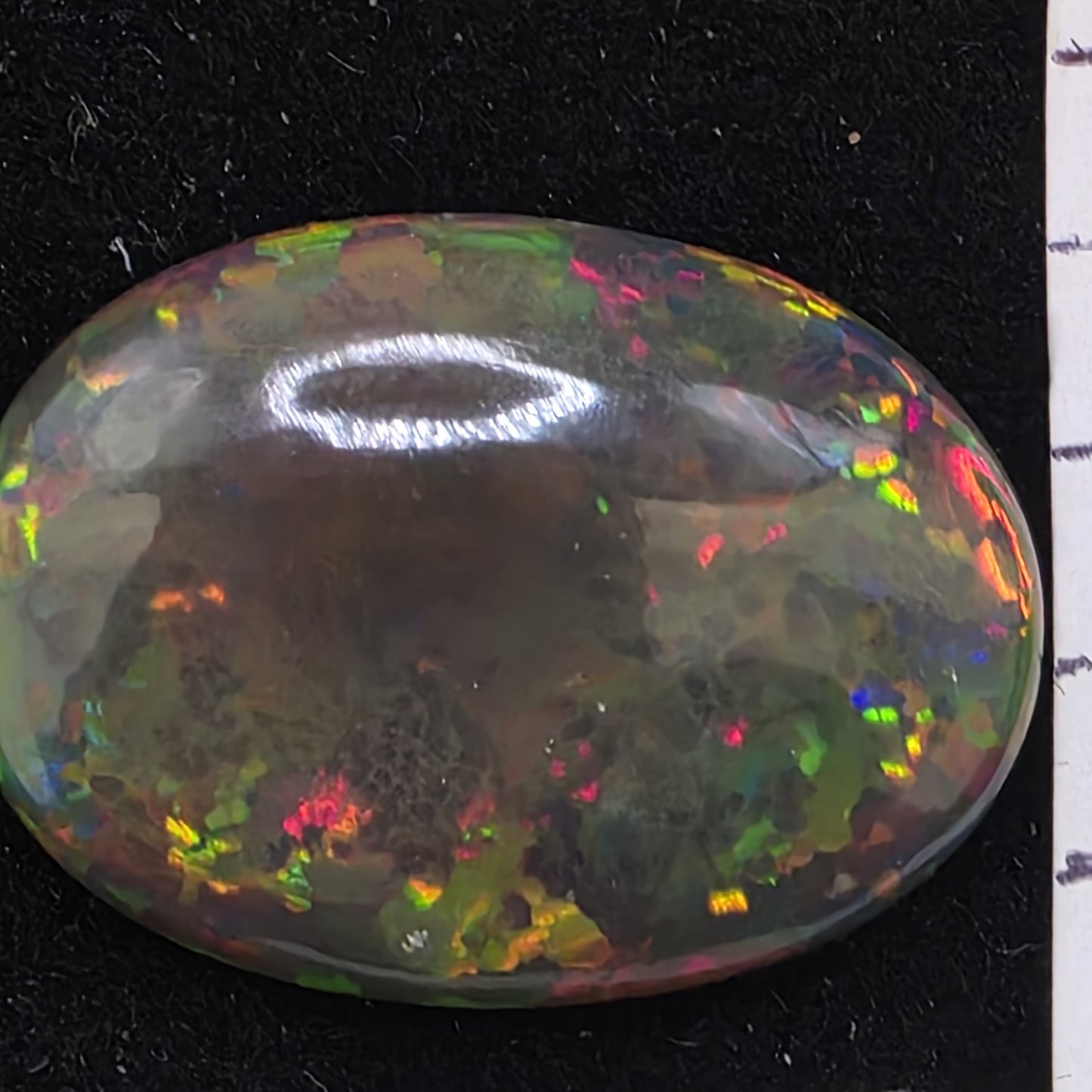 Black Opal special Ethiopian Welo, 16.2 ct oval polished, natural