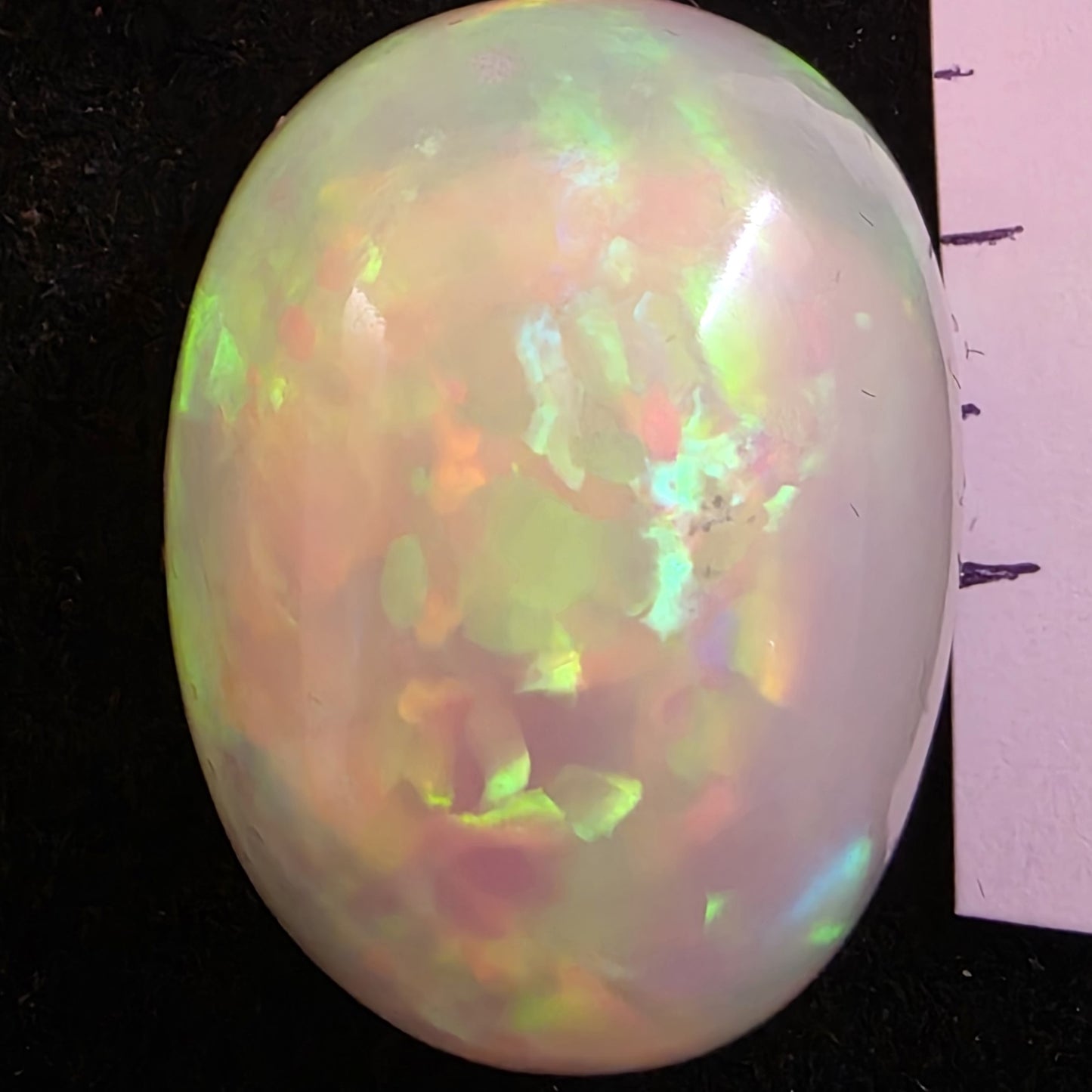 BIG stone! White Opal special Ethiopian Welo, 66.7 ct oval polished, natural