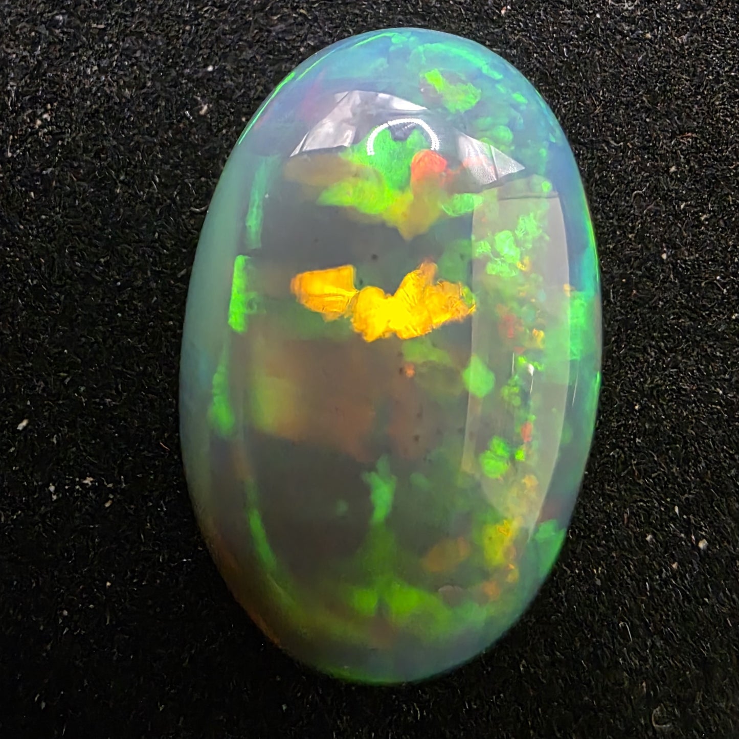Black Opal special Ethiopian Welo, 12.4 ct oval polished, natural
