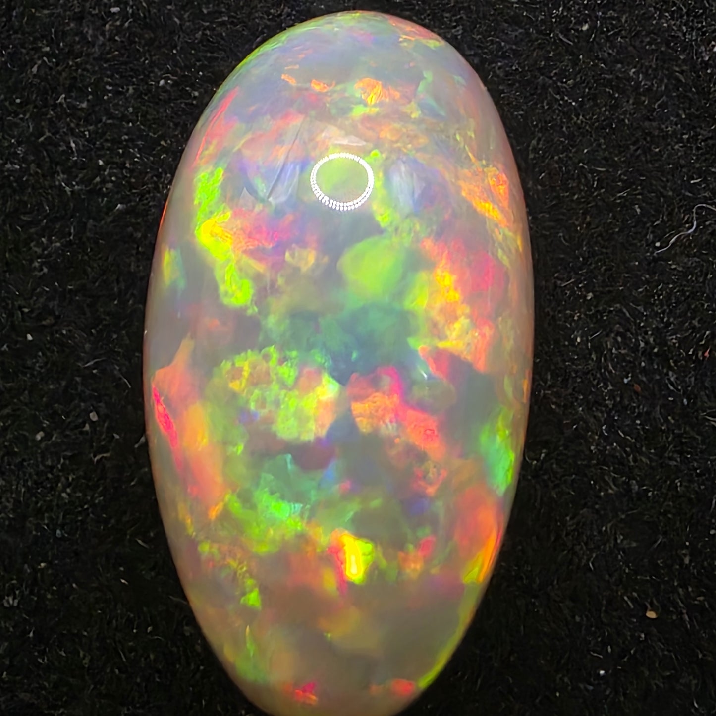 White Opal special Ethiopian Welo, 21 ct oval polished, natural, intense Play-of-Colour
