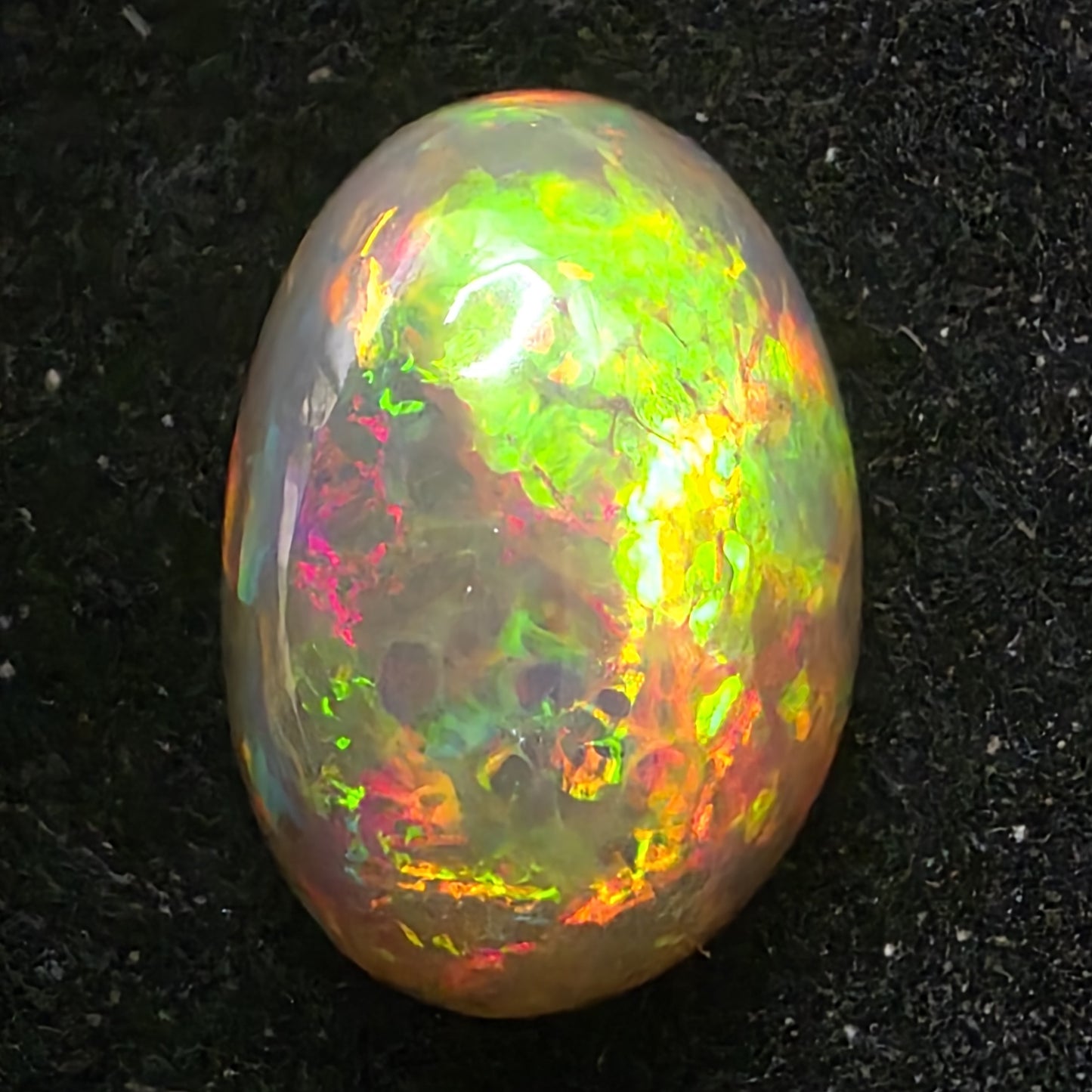 Black Opal special Ethiopian Welo, 6.45 ct oval polished, natural, intense Play-of-Colour