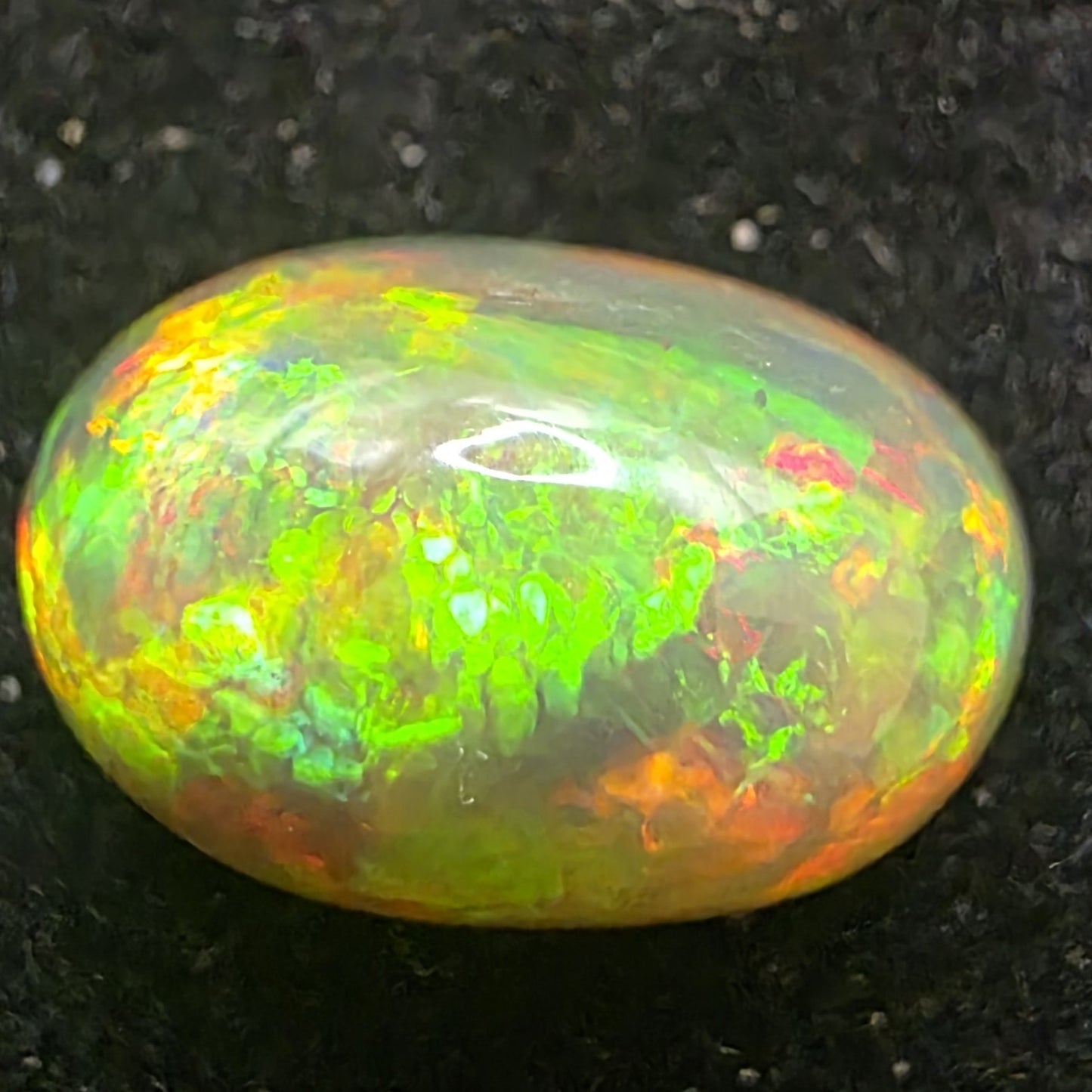 Black Opal special Ethiopian Welo, 6.45 ct oval polished, natural, intense Play-of-Colour