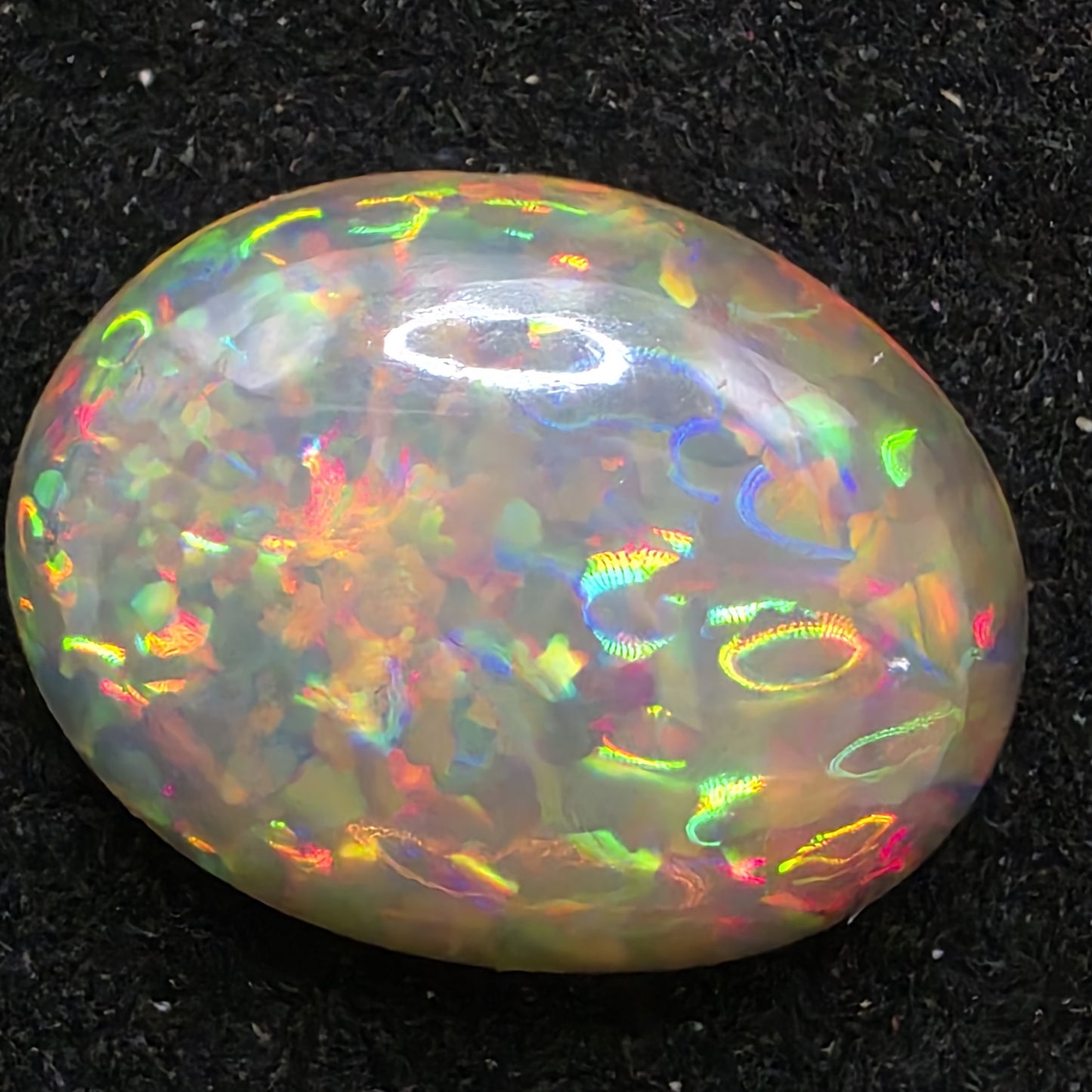 Black Opal special Ethiopian Welo, 7.15 ct oval polished, natural, intense Play-of-Colour