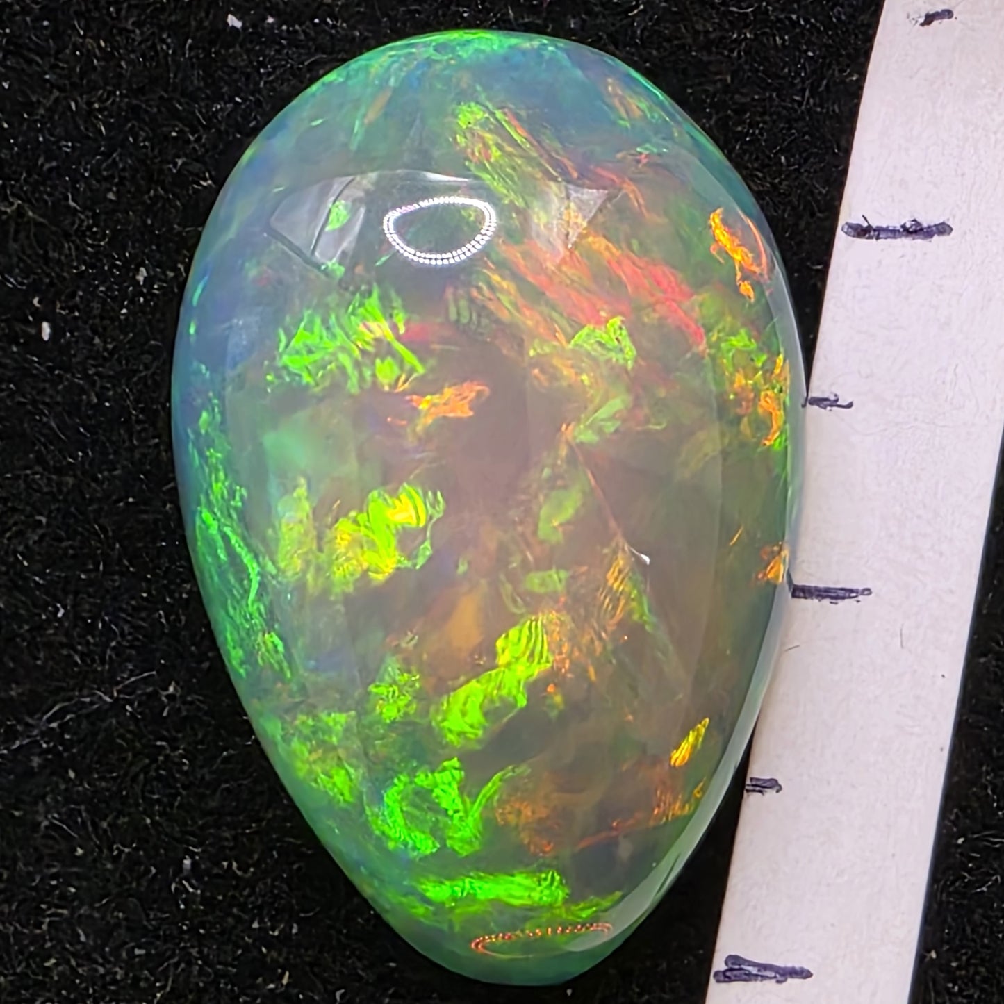 Black Opal special Ethiopian Welo, 17.95 ct pear polished, natural, intense Play-of-Colour