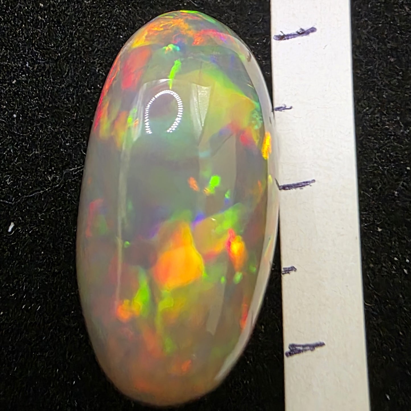 Black Opal special Ethiopian Welo, 16.8 ct oval polished, natural, intense Play-of-Colour