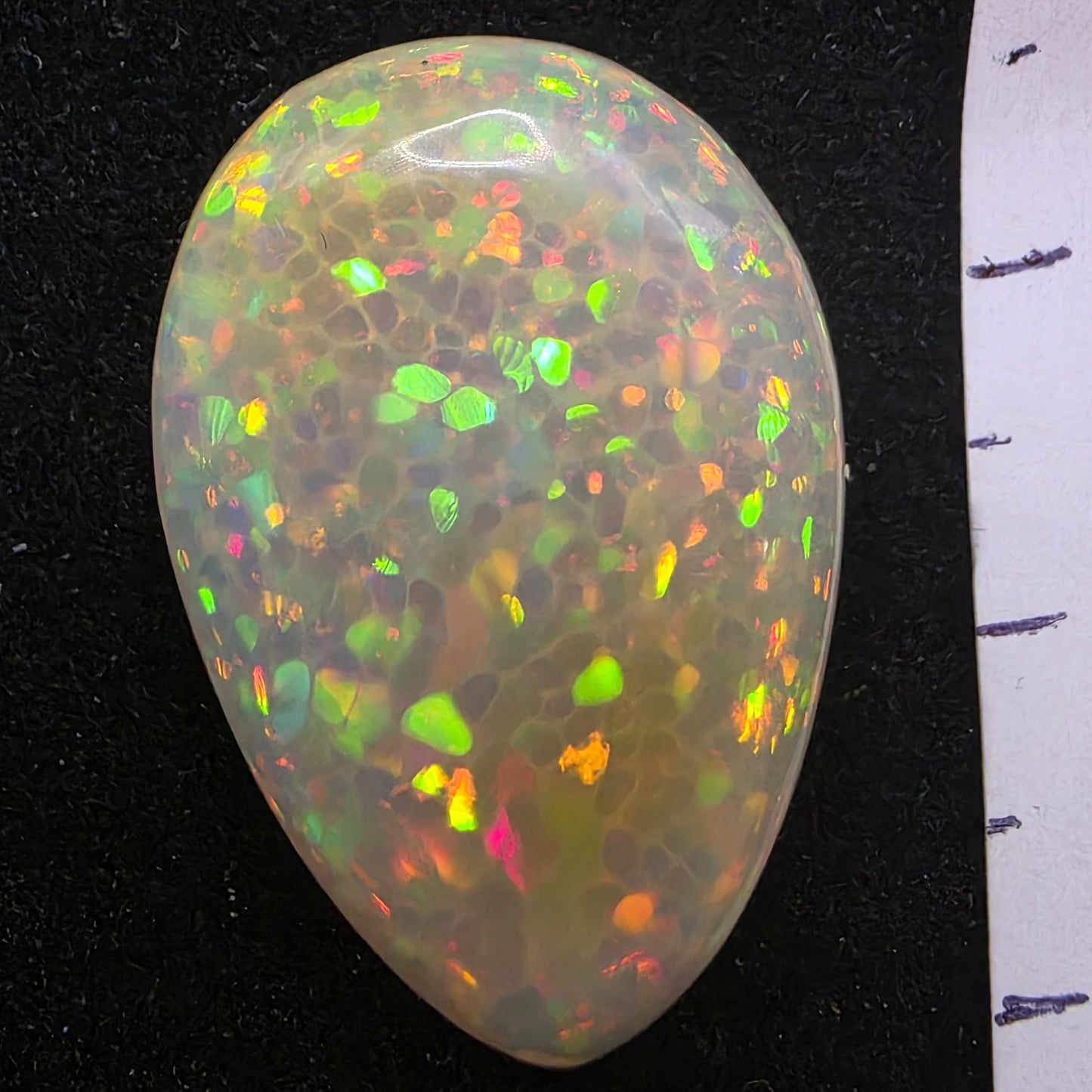 Black Opal special Ethiopian Welo, 18.35 ct pear polished, natural, intense Play-of-Colour