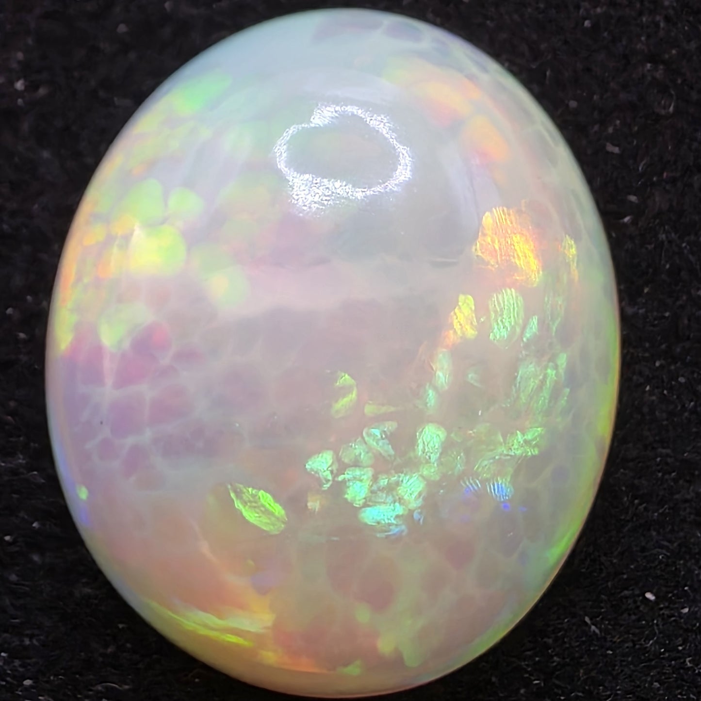 Honeycomb White Opal special Ethiopian Welo, 10.3 ct oval polished, natural, intense Play-of-Colour