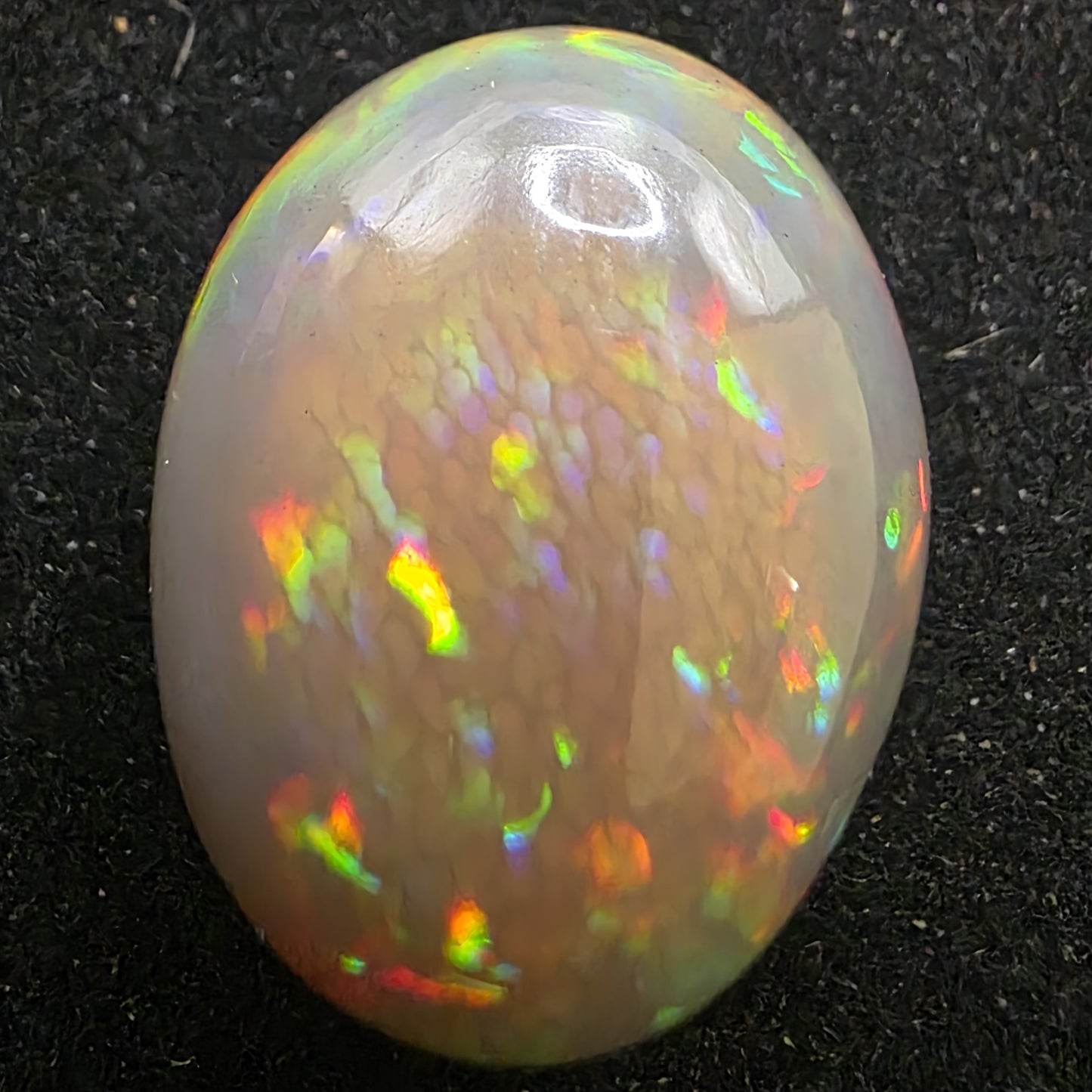 Honeycomb Black Opal special Ethiopian Welo, 21.6 ct oval polished, natural