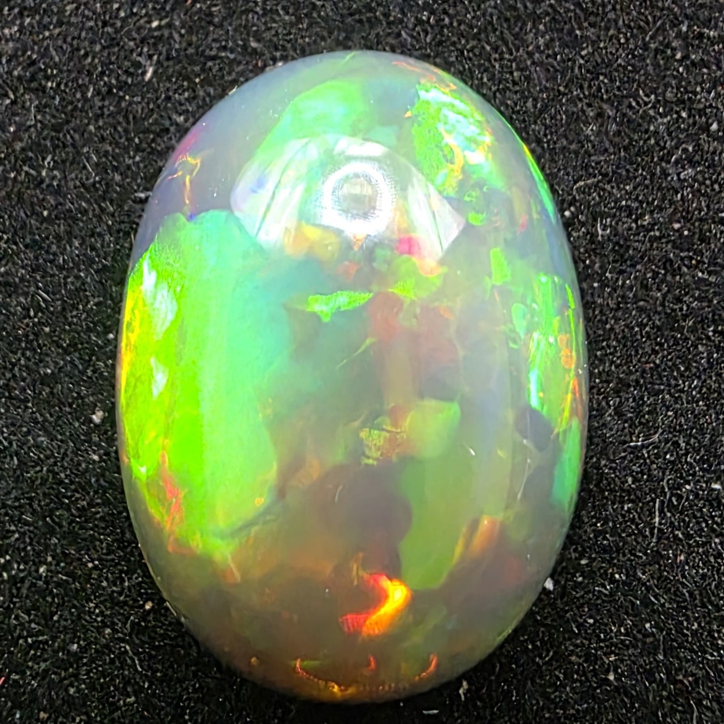 Black Opal special Ethiopian Welo, 10 ct oval polished, natural, intense Play-of-Colour