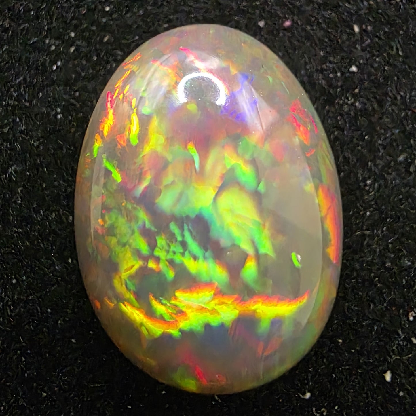 Black Opal special Ethiopian Welo, 5.35 ct oval polished, natural, intense Play-of-Colour