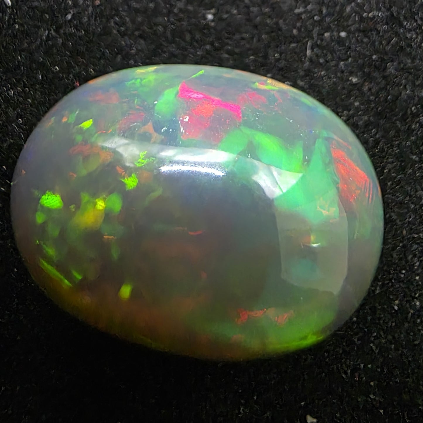 Black Opal special Ethiopian Welo, 10 ct oval polished, natural, intense Play-of-Colour