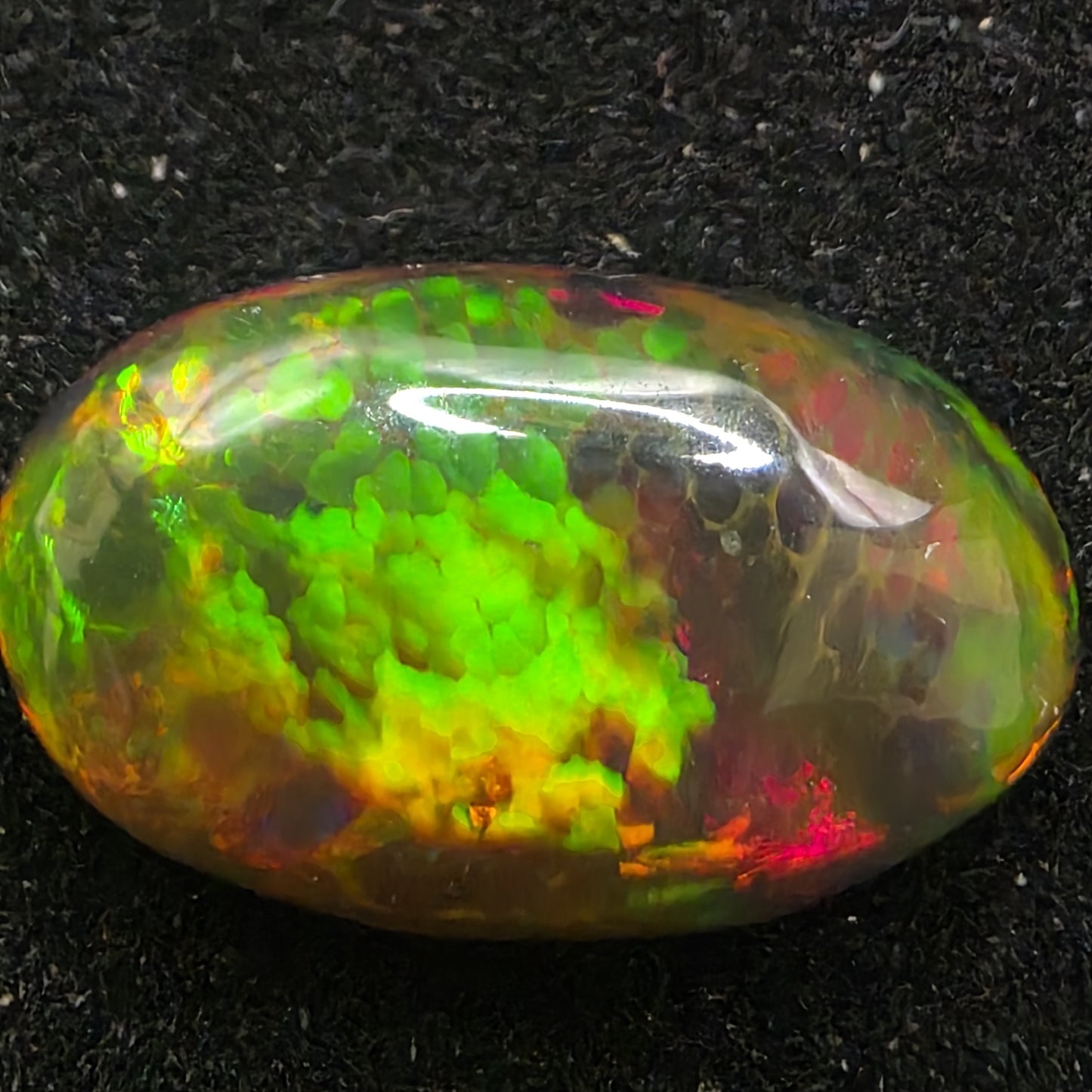 Black Opal special Ethiopian Welo, 3.3 ct oval polished, natural, intense Play-of-Colour