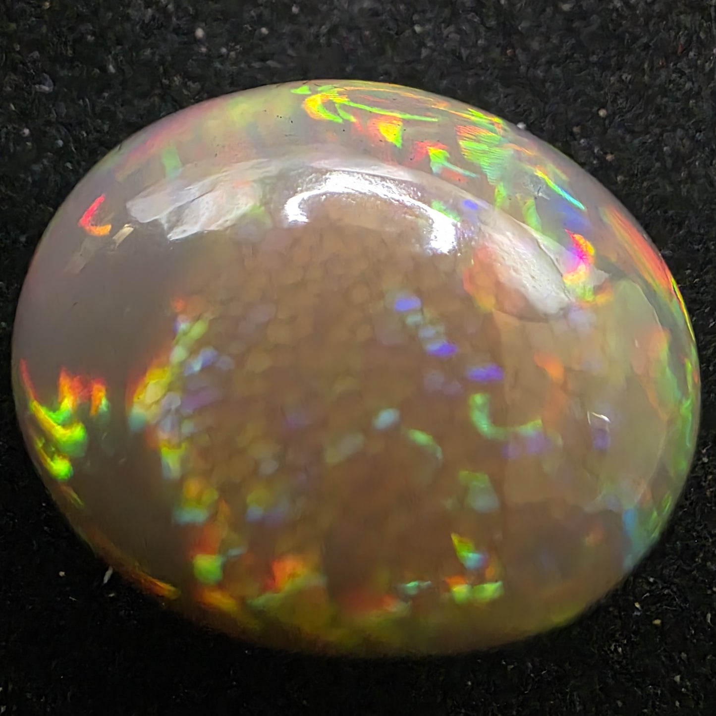 Honeycomb Black Opal special Ethiopian Welo, 21.6 ct oval polished, natural