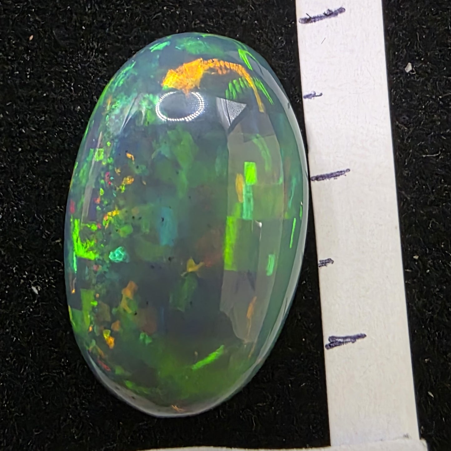 Black Opal special Ethiopian Welo, 12.4 ct oval polished, natural