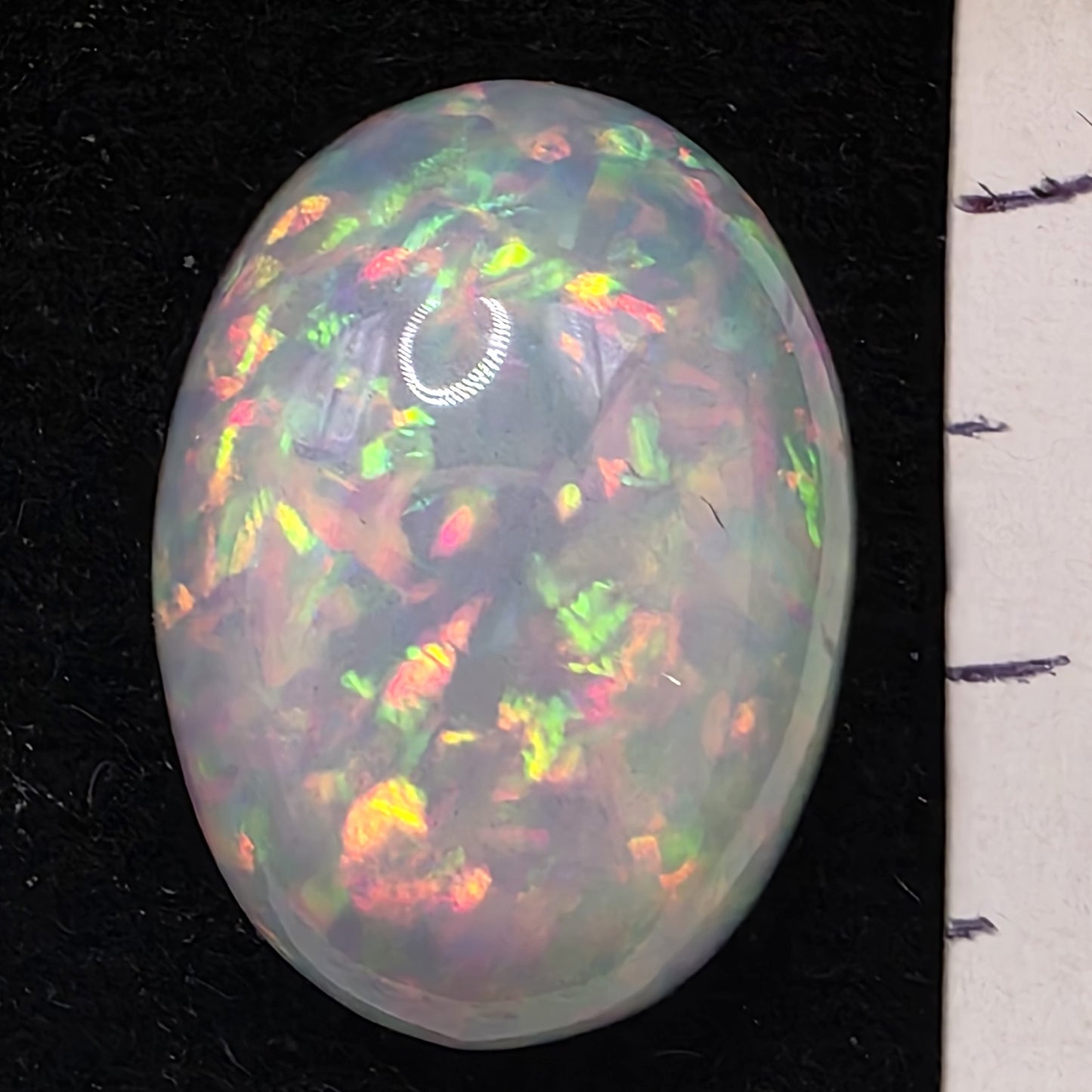 White Opal special Ethiopian Welo, 13.6 ct oval polished, natural, intense Play-of-Colour