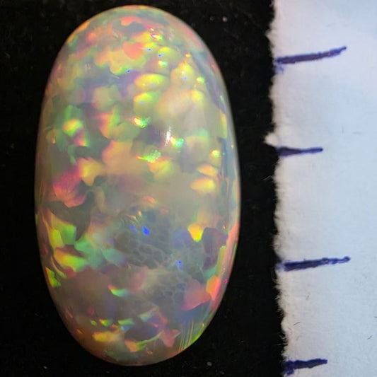 White Opal special Ethiopian Welo, 11.55 ct oval polished, natural, intense Play-of-Colour