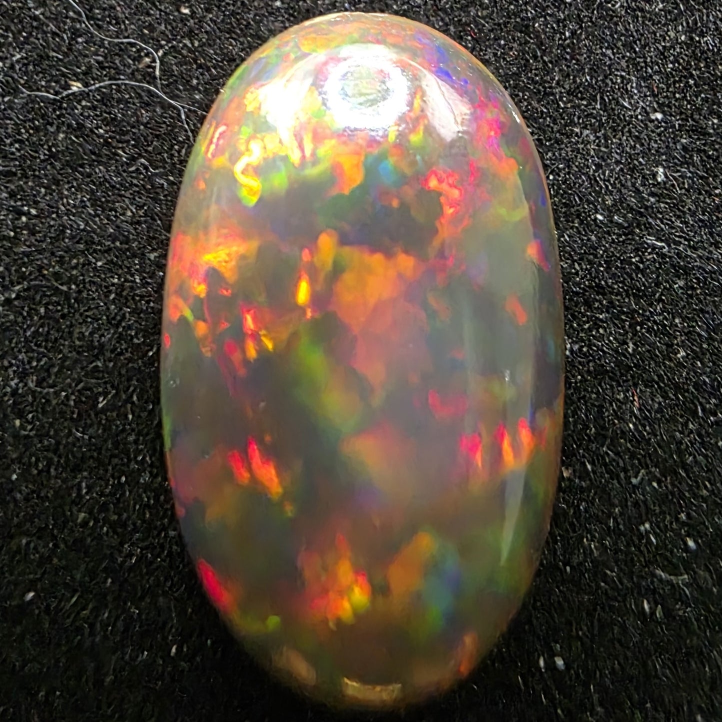 Black Opal special Ethiopian Welo, 4.55 ct oval polished, natural, intense Play-of-Colour