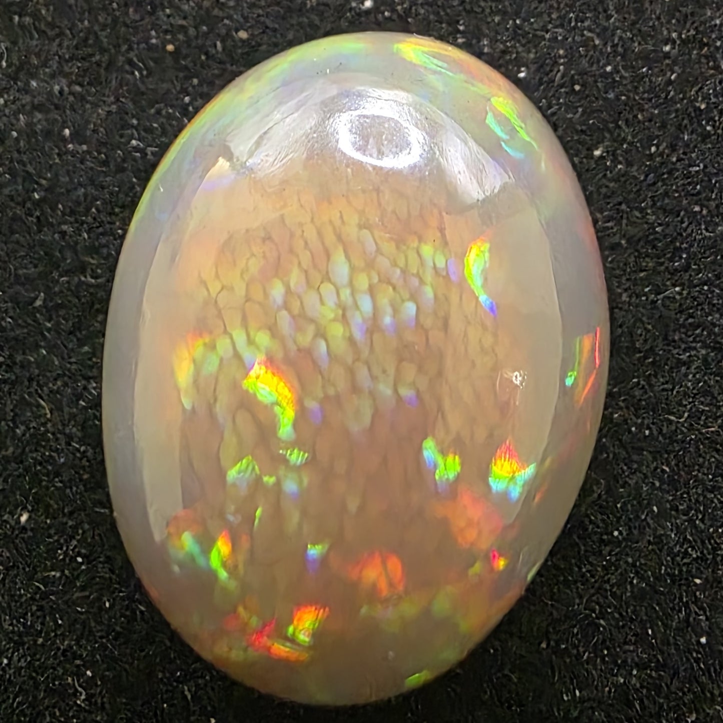 Honeycomb Black Opal special Ethiopian Welo, 21.6 ct oval polished, natural