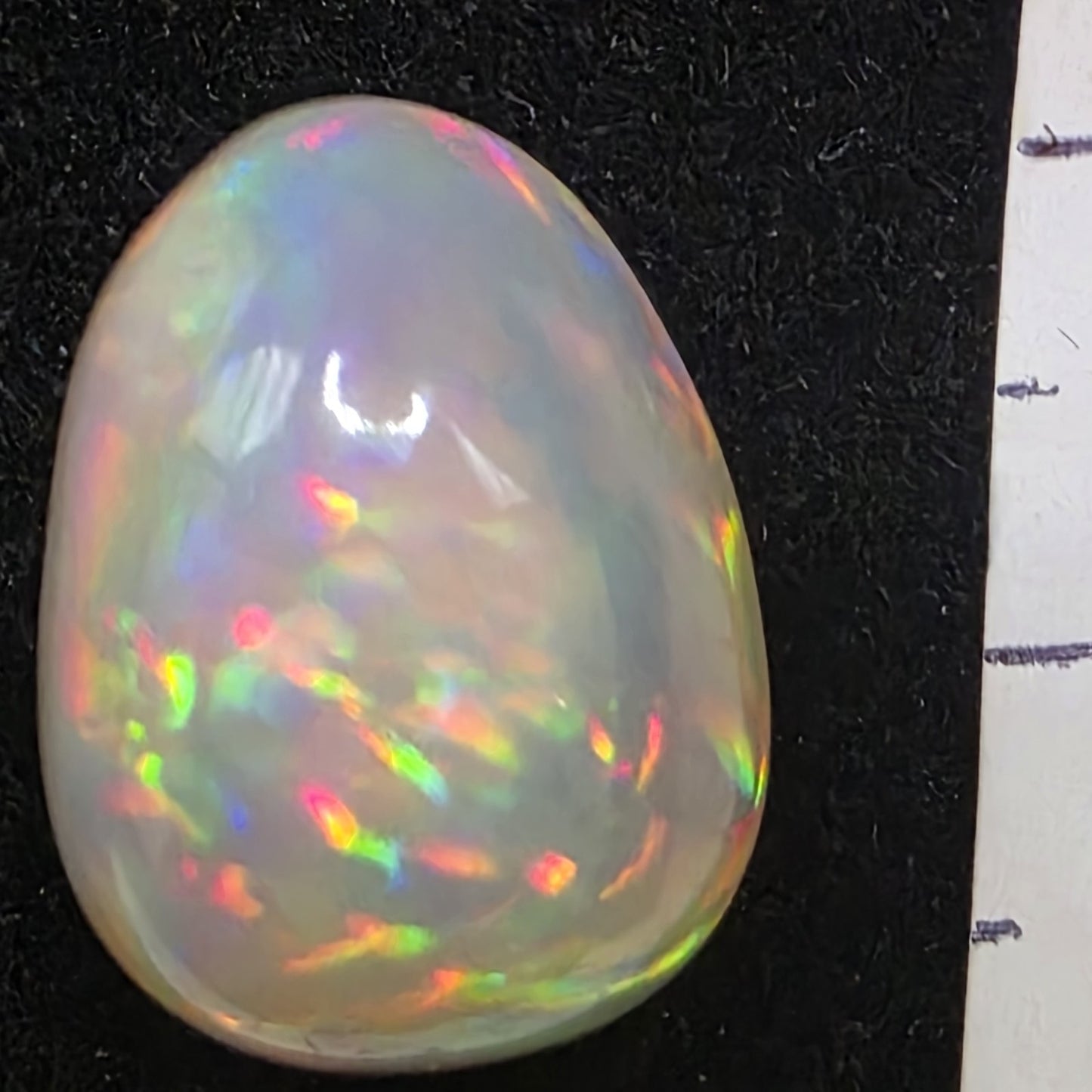 Black Opal special Ethiopian Welo, 11.5 ct pear polished, natural, intense Play-of-Colour