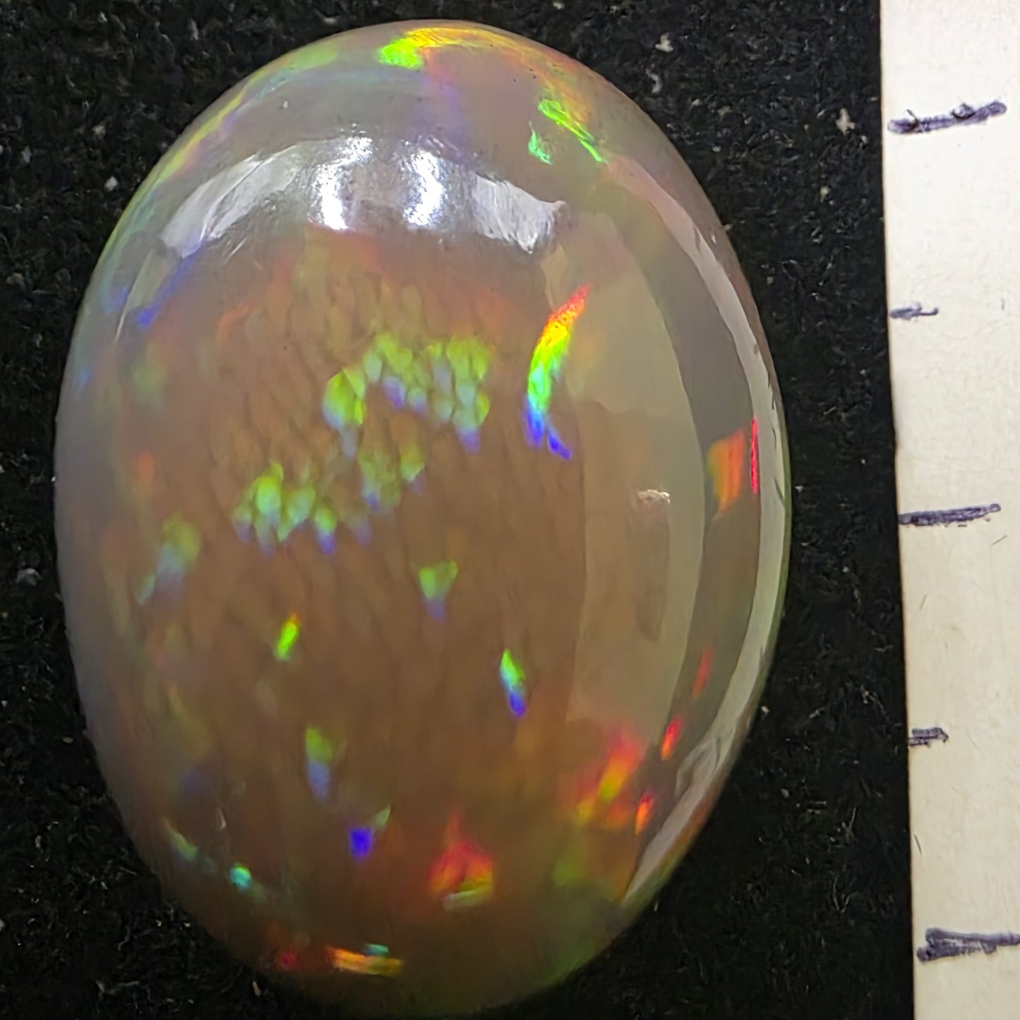 Honeycomb Black Opal special Ethiopian Welo, 21.6 ct oval polished, natural