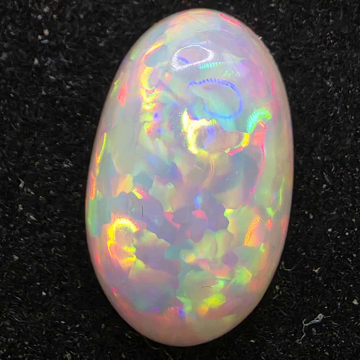 Black Opal special Ethiopian Welo, 6.55 ct oval polished, natural, intense Play-of-Colour