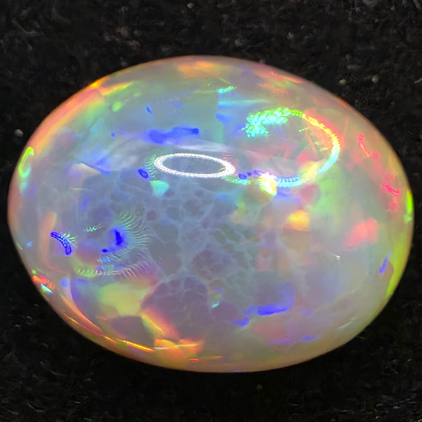 Black Opal special Ethiopian Welo, 14.4 ct oval polished, natural, intense Play-of-Colour