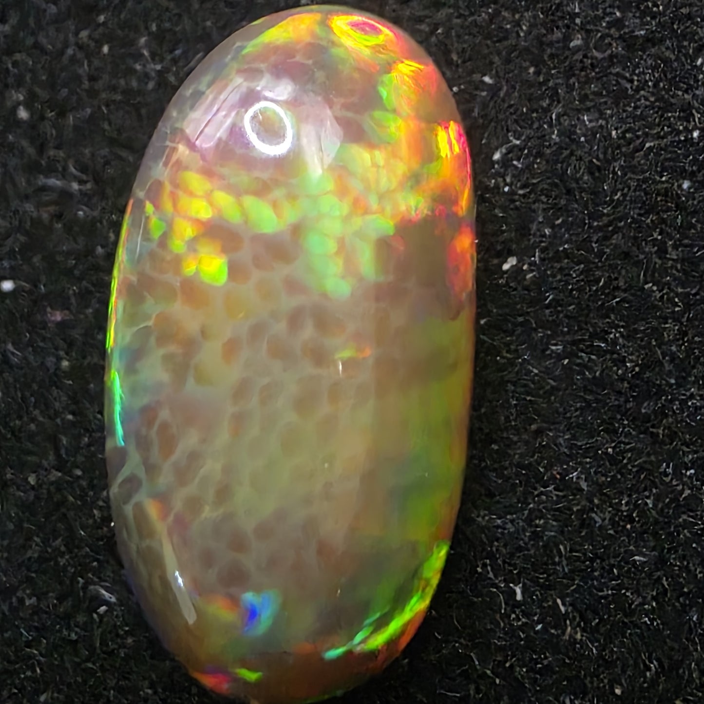 Honeycomb Black Opal special Ethiopian Welo, 5.8 ct oval polished, natural, intense Play-of-Colour