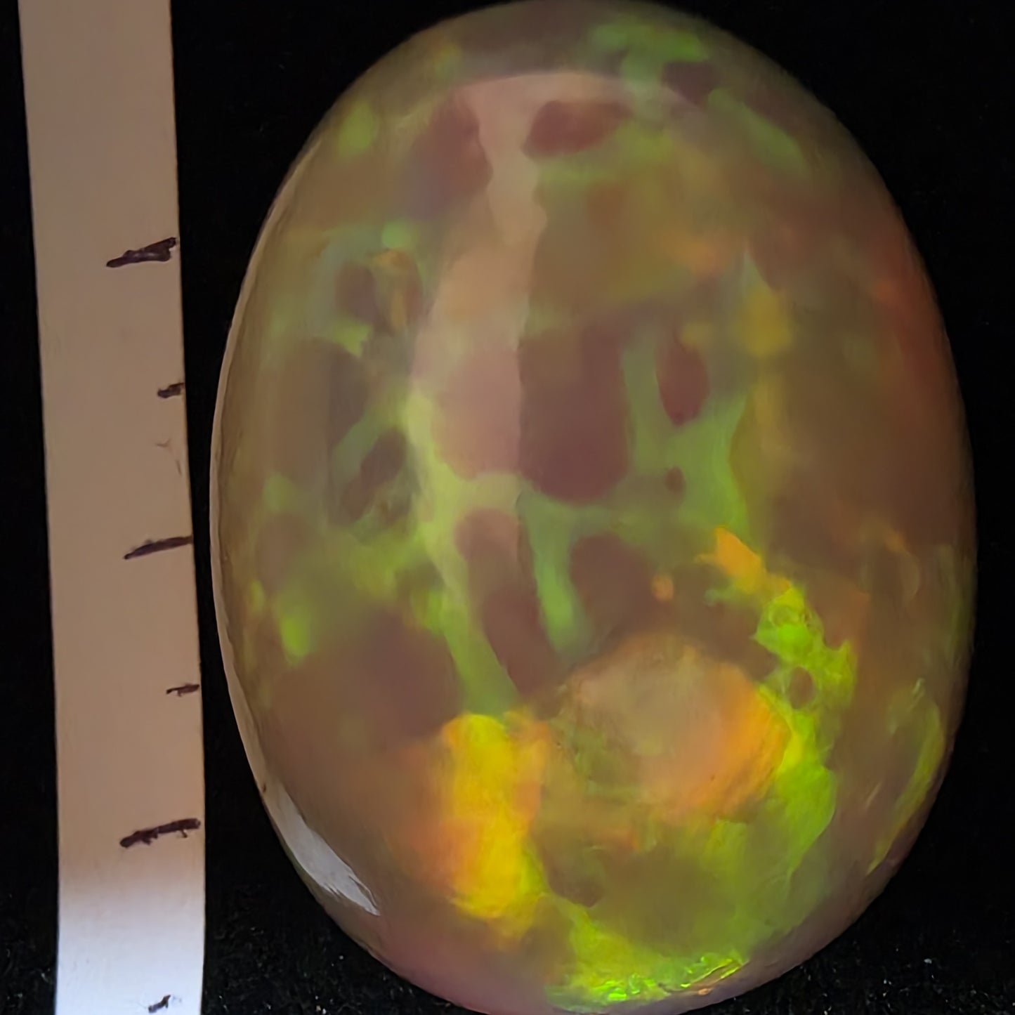BIG stone! White Opal special Ethiopian Welo, 66.7 ct oval polished, natural