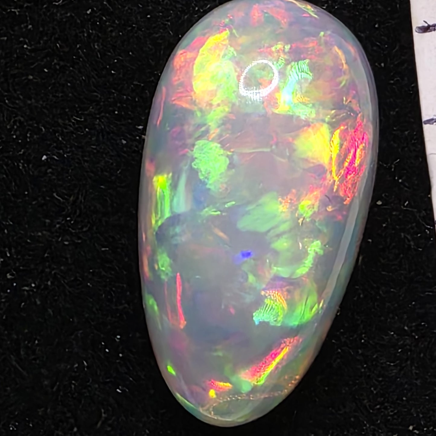 White Opal special Ethiopian Welo, 10.75 ct pear polished, natural, intense Play-of-Colour