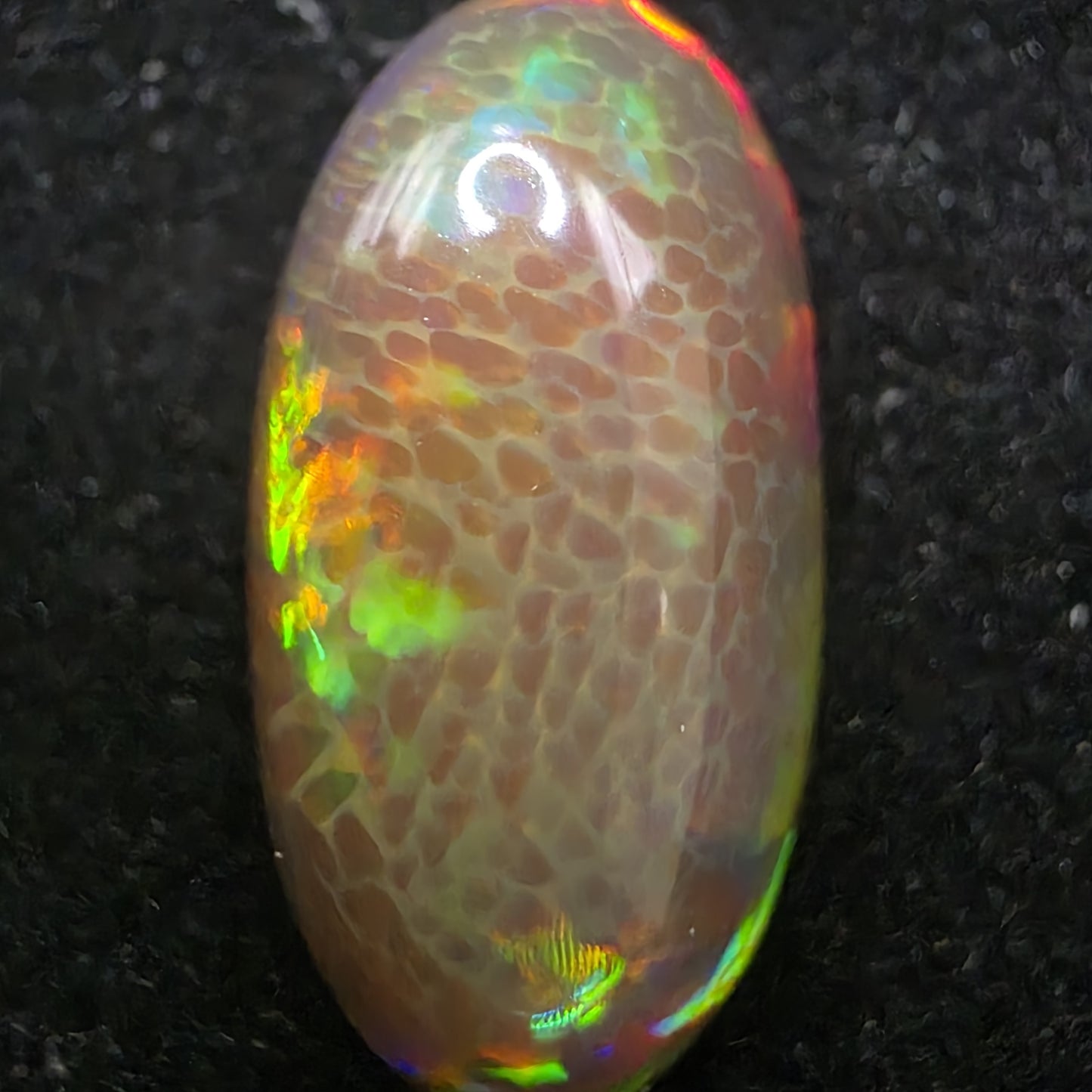 Honeycomb Black Opal special Ethiopian Welo, 5.8 ct oval polished, natural, intense Play-of-Colour