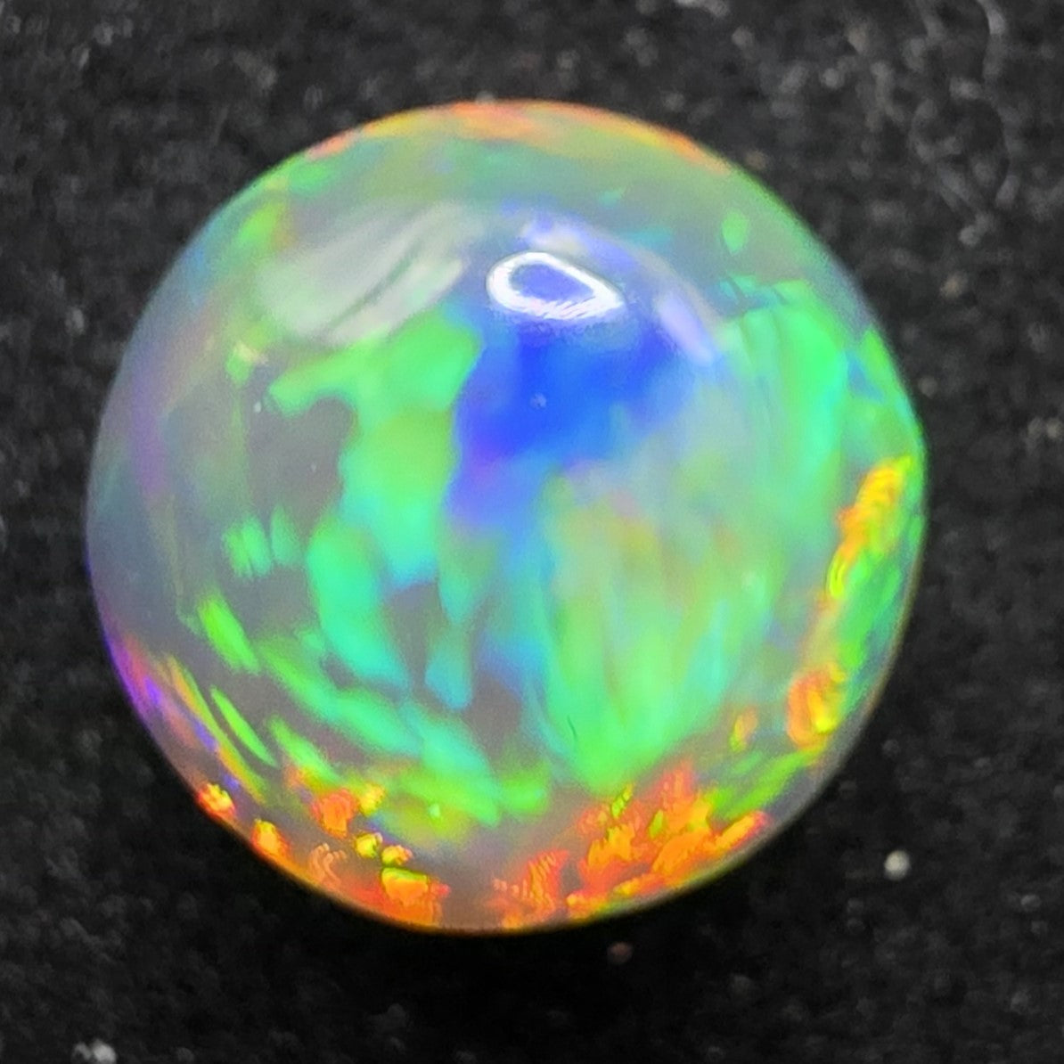 Crystal Opal special Ethiopian Welo, 5.6 ct round polished, natural, intense Play-of-Colour