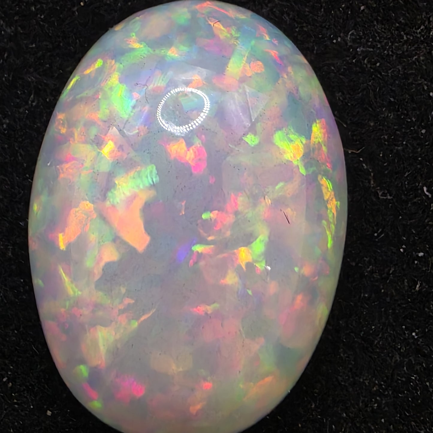 White Opal special Ethiopian Welo, 13.6 ct oval polished, natural, intense Play-of-Colour