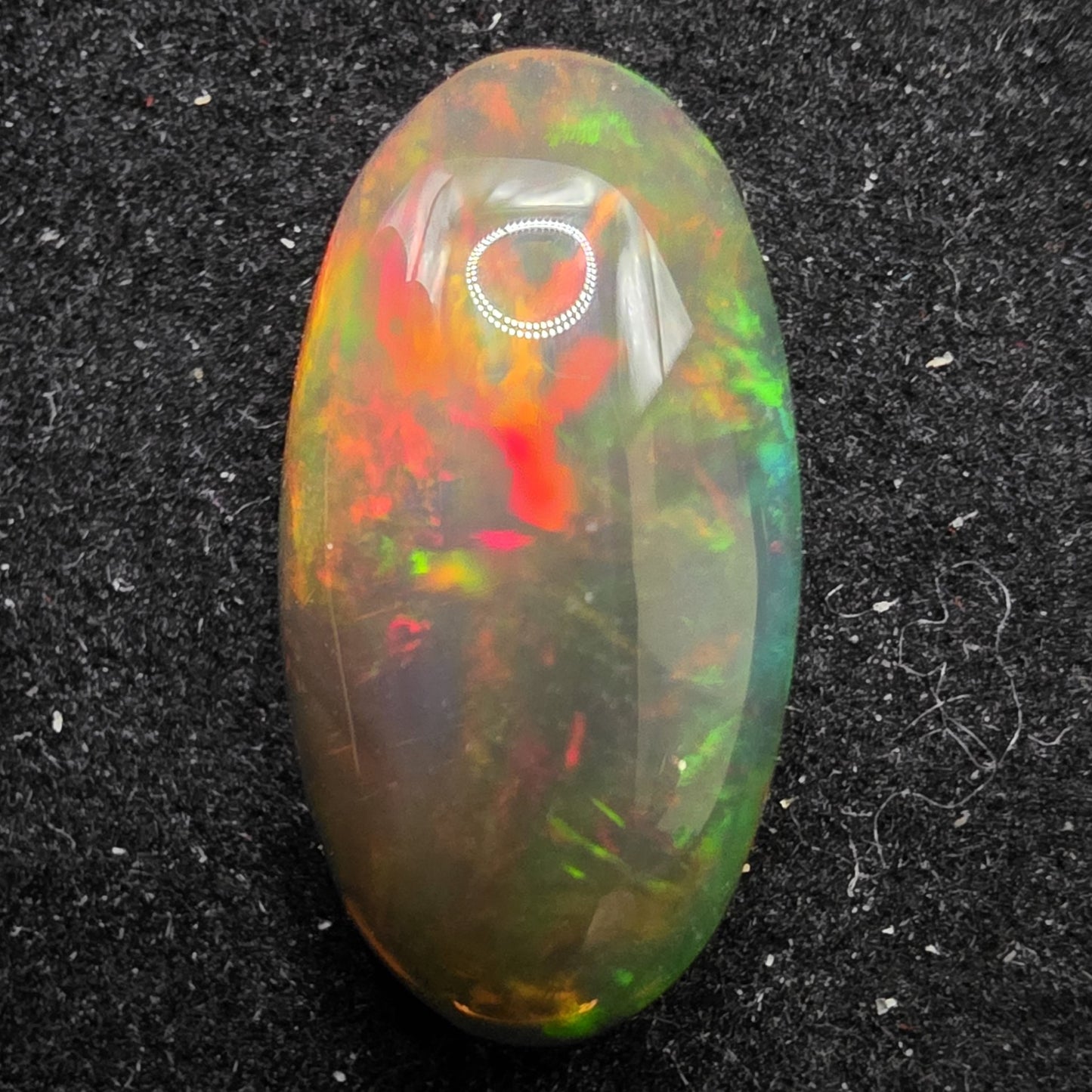 Black Opal special Ethiopian Welo, 4.3 ct oval polished, natural, intense Play-of-Colour